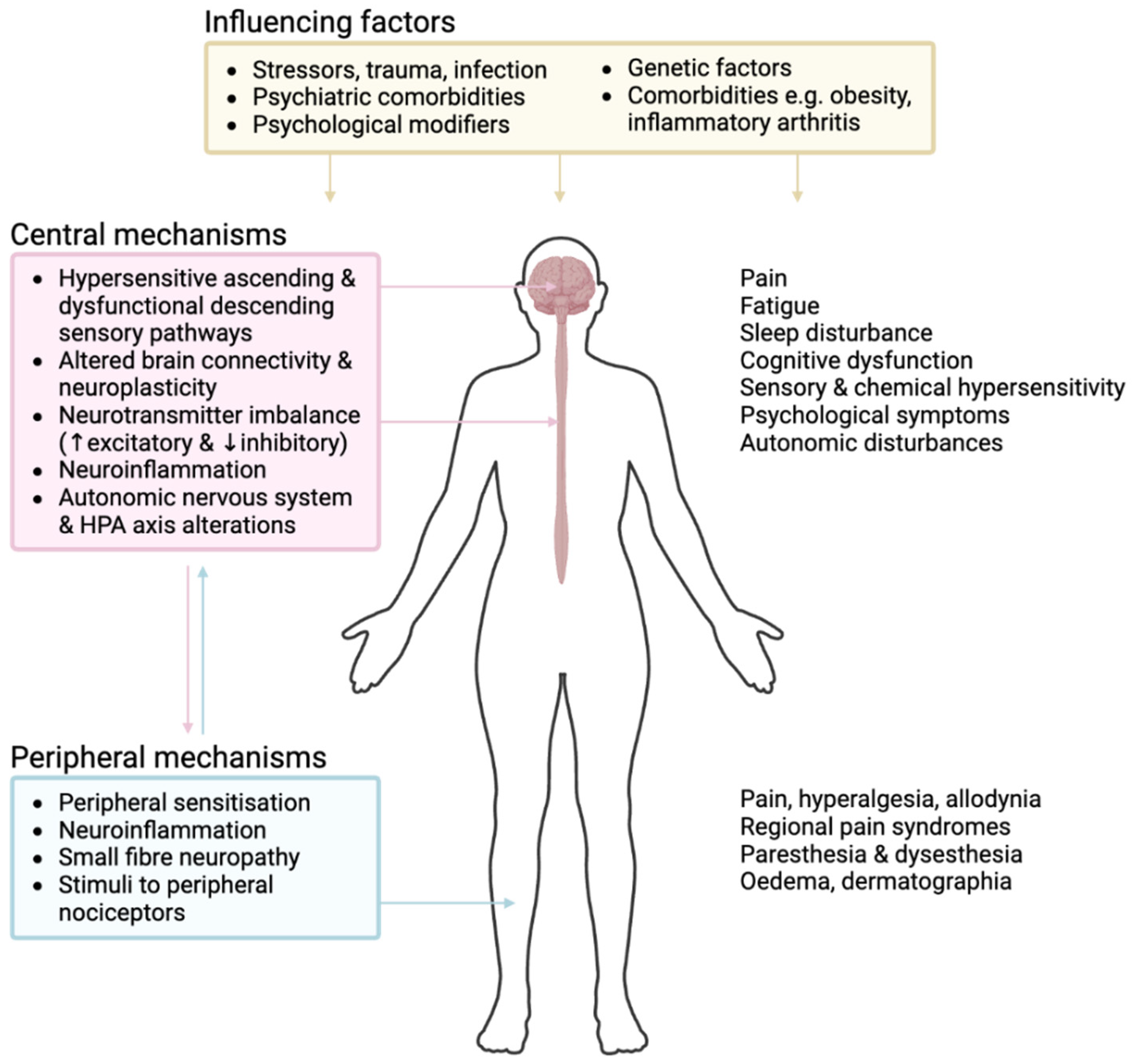 Brainsci 15 00206 g001