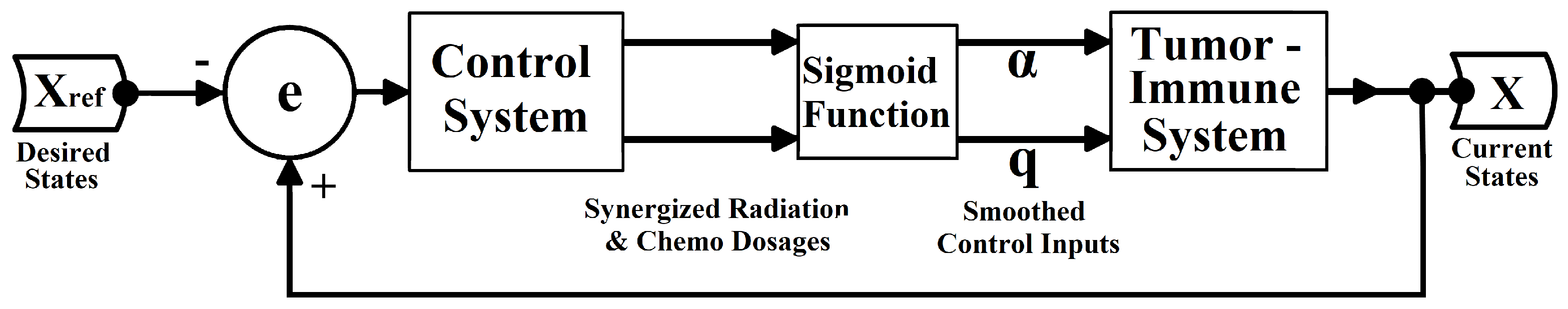 Brainsci 15 00207 g003