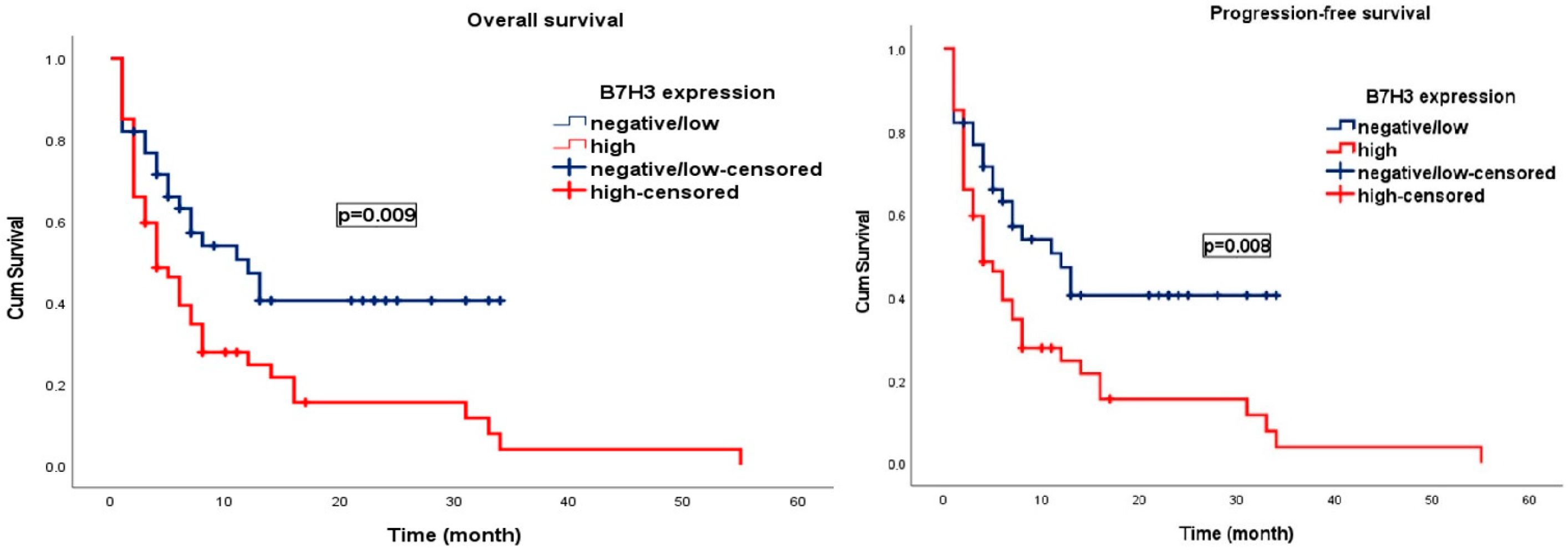 Brainsci 15 00212 g003