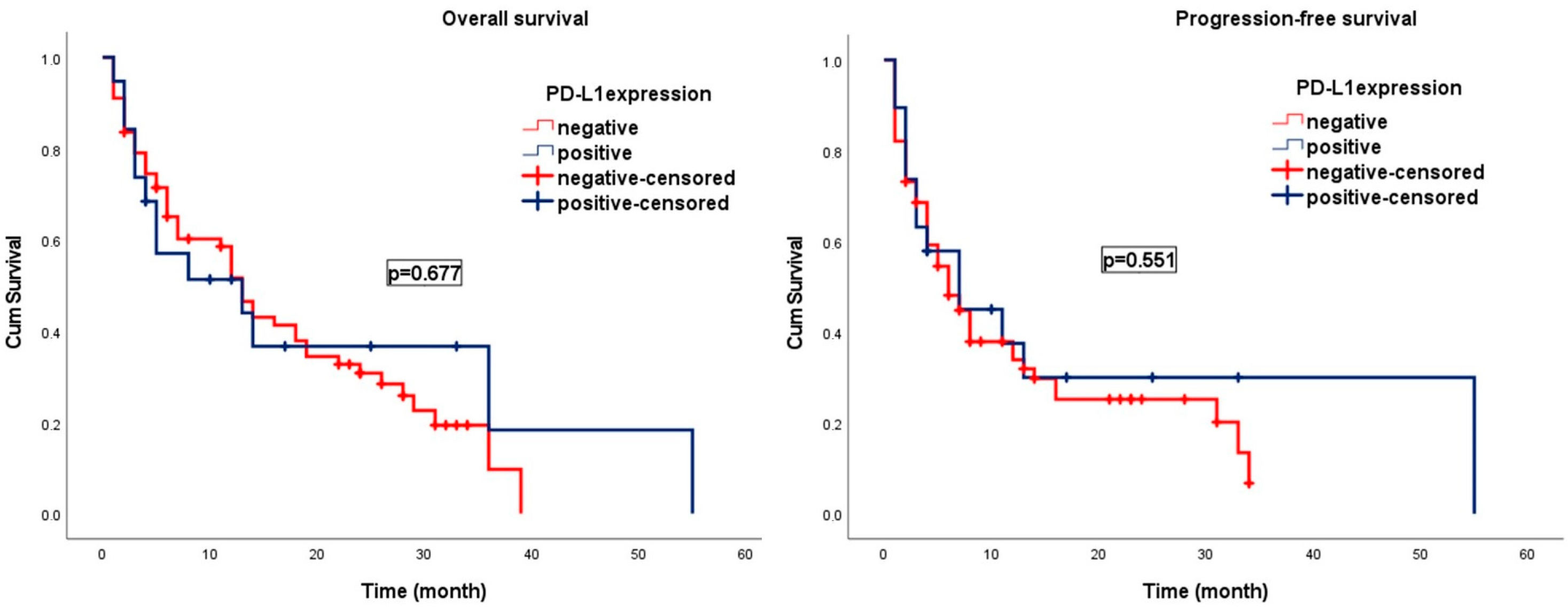 Brainsci 15 00212 g004