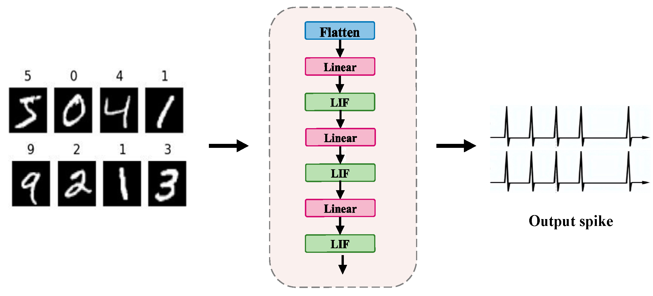 Brainsci 15 00217 g003