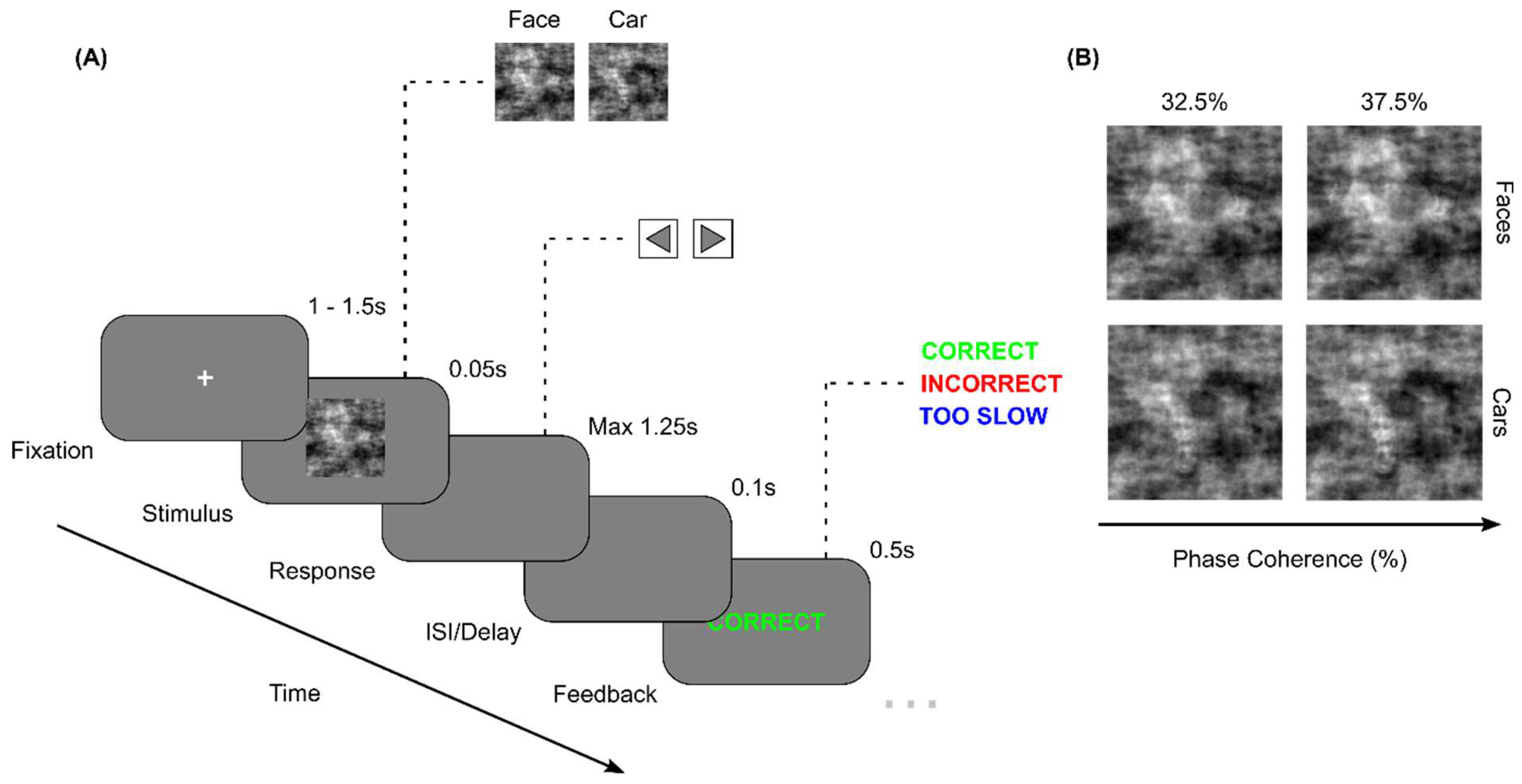 Brainsci 15 00226 g001