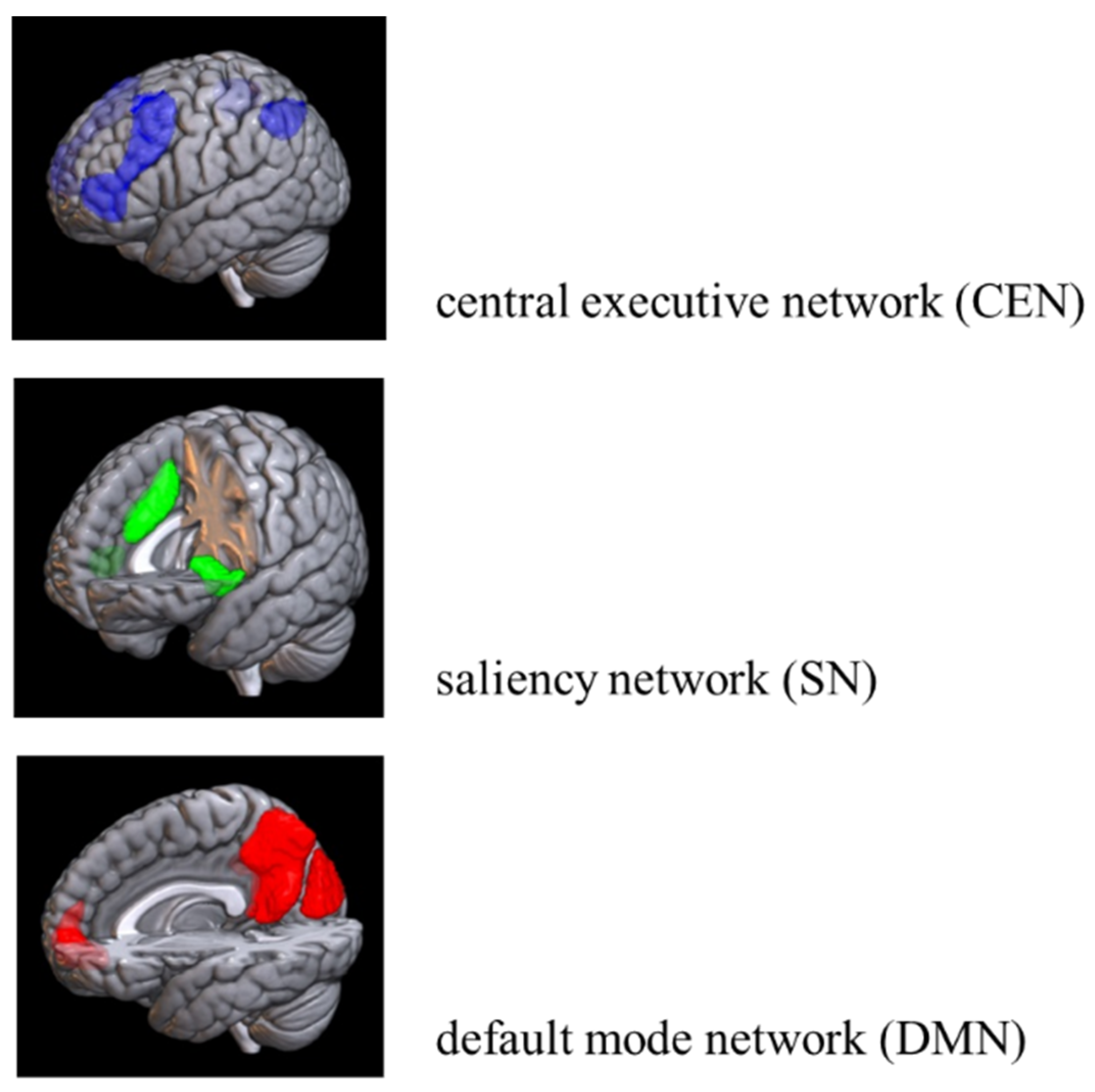 Brainsci 15 00233 g001