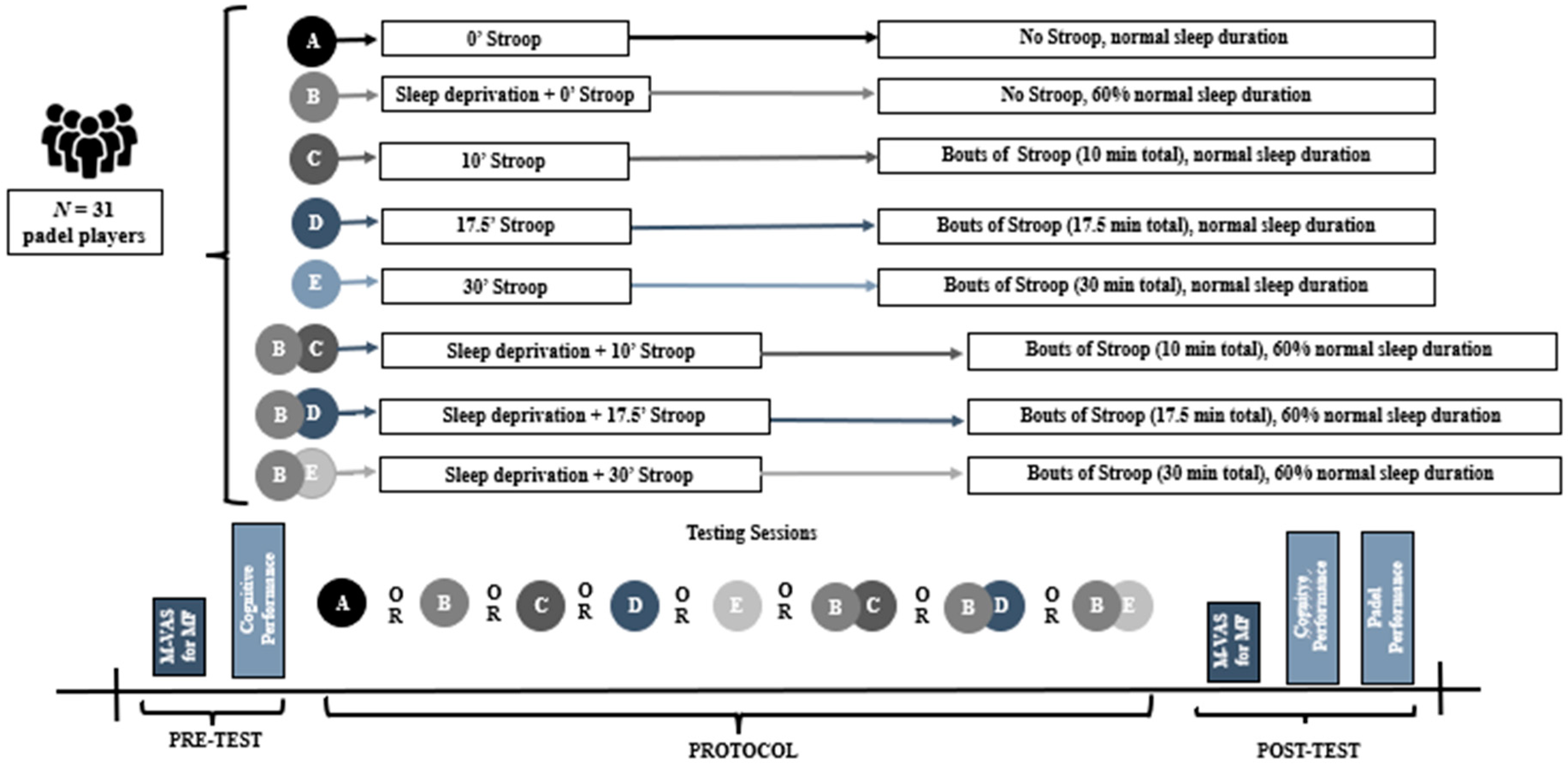 Brainsci 15 00235 g001