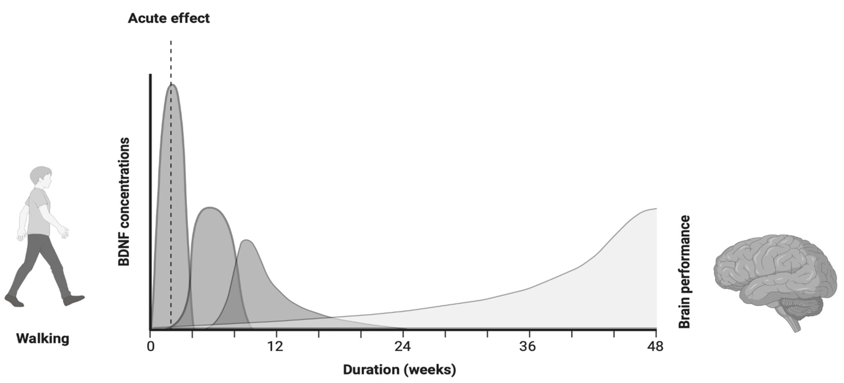 Brainsci 15 00254 g003