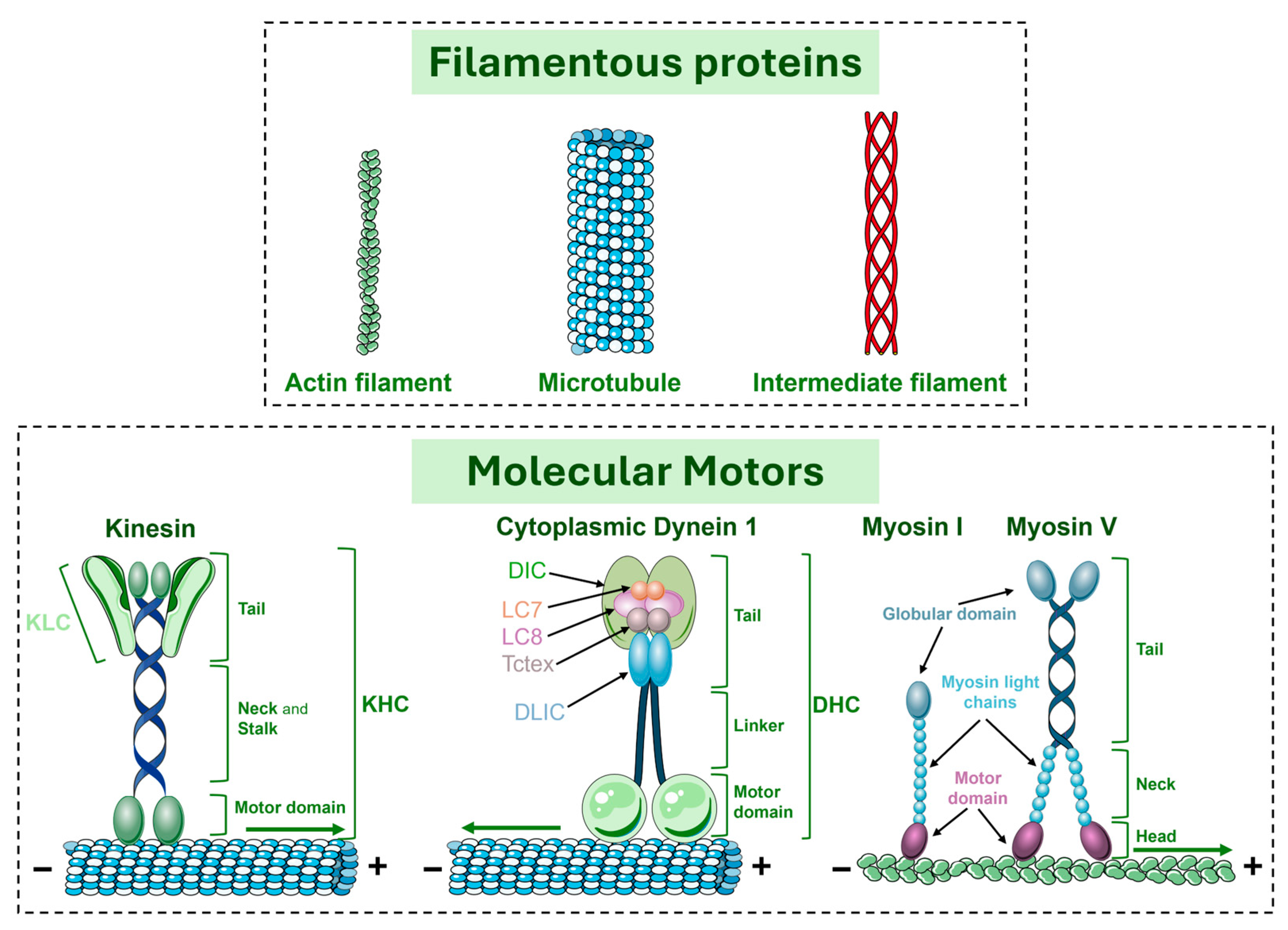 Brainsci 15 00279 g003