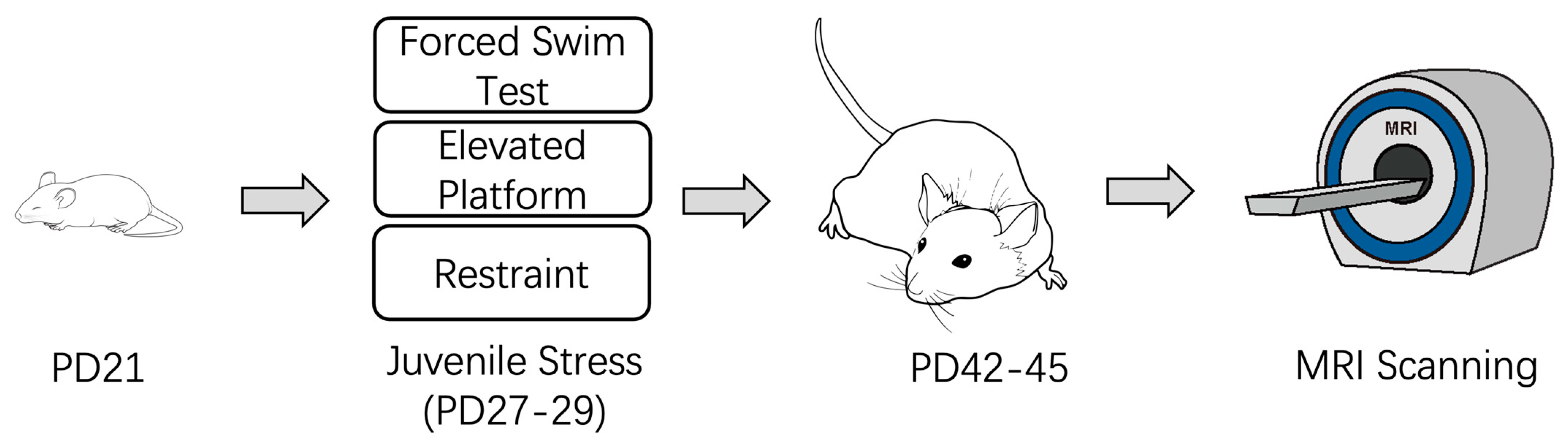 Brainsci 15 00284 g001