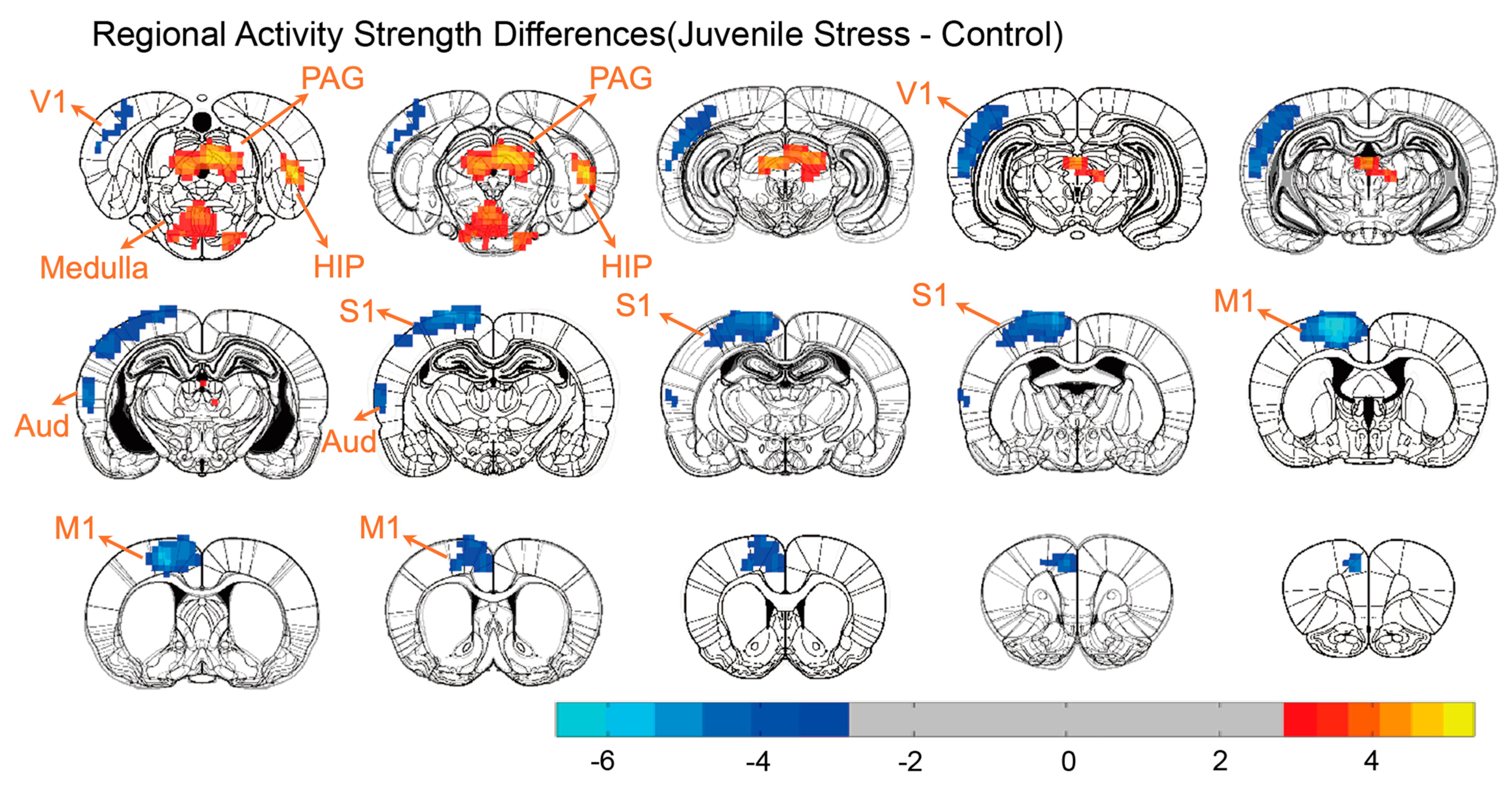 Brainsci 15 00284 g003