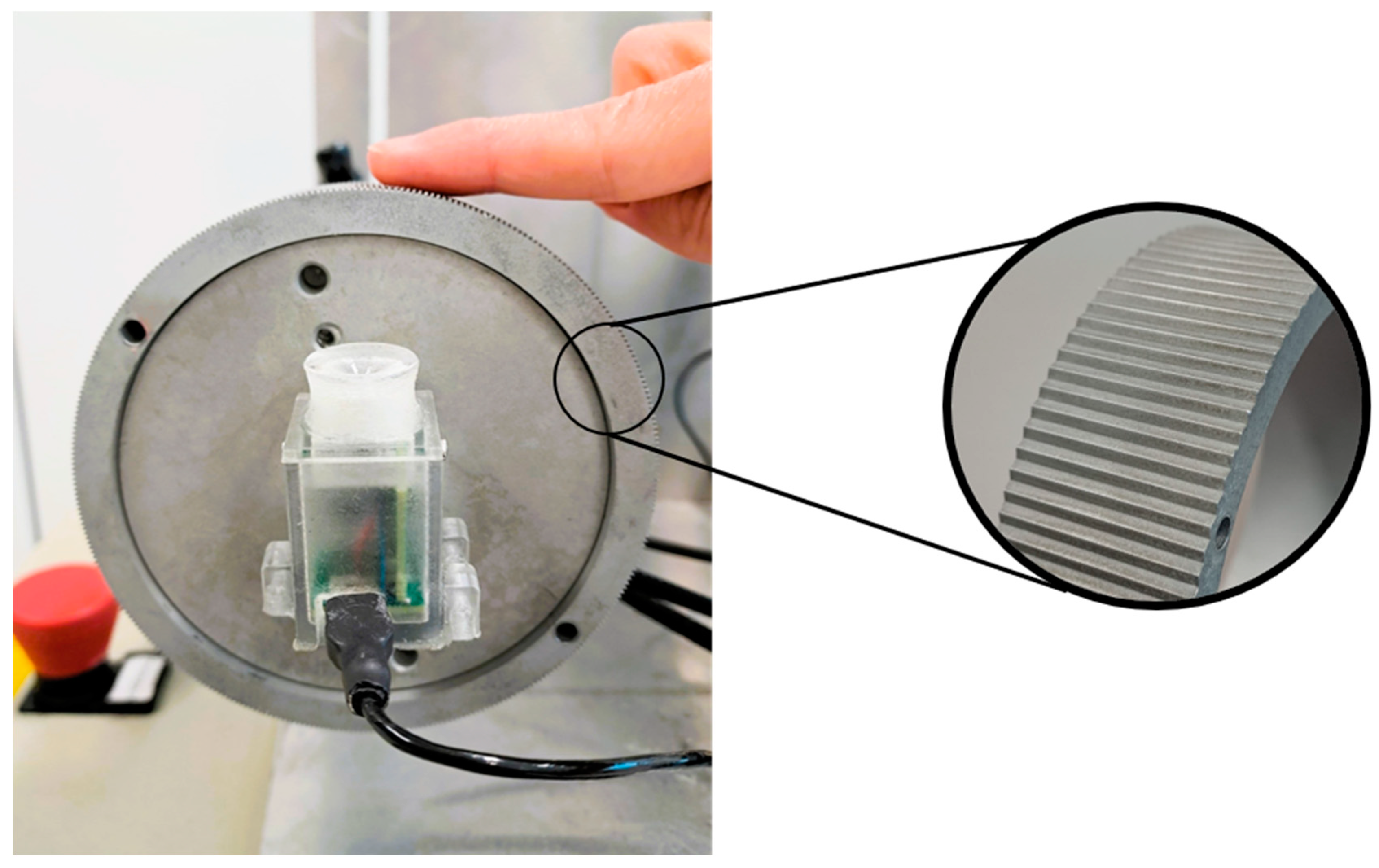 Brainsci 15 00288 g001