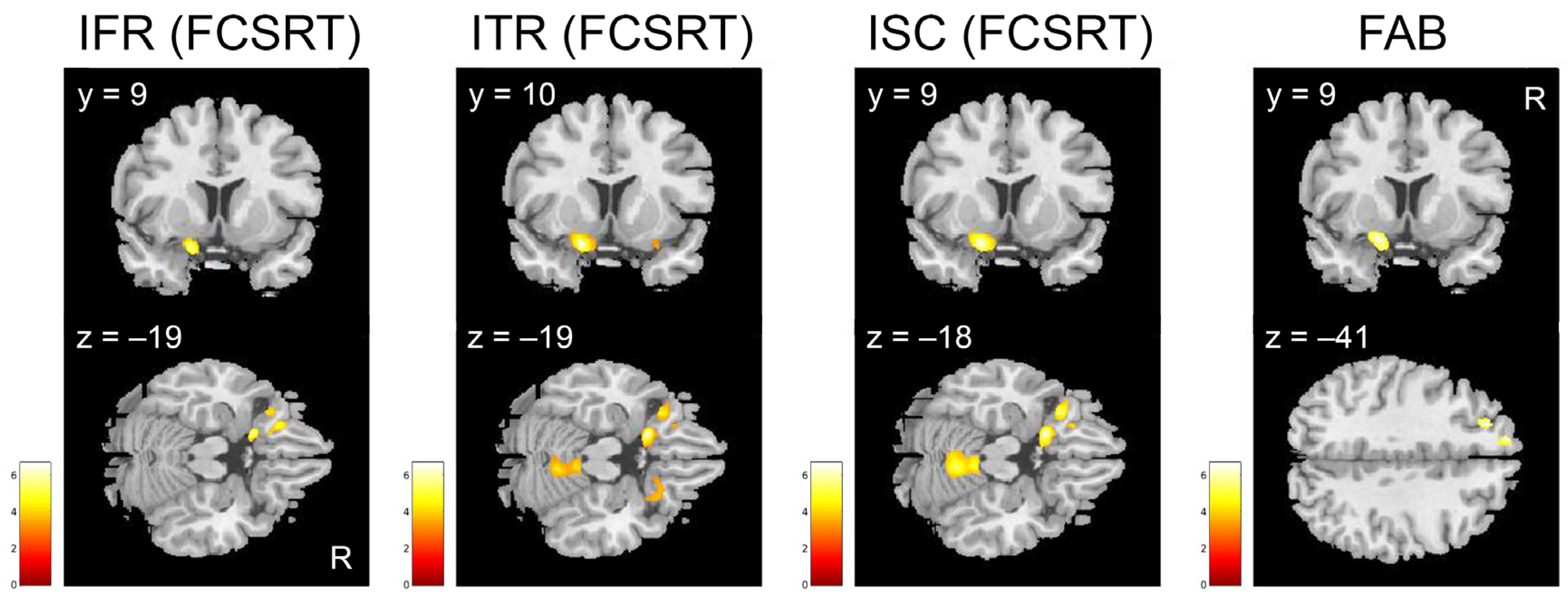 Brainsci 15 00310 g006