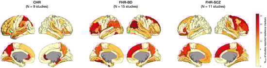 Brainsci 15 00314 g0a1