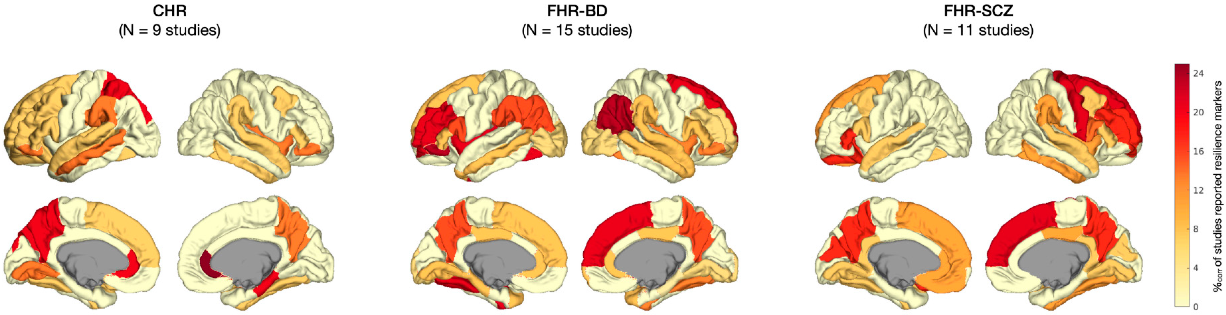 Brainsci 15 00314 g0a1 Brainsci 15 00314 g0a1