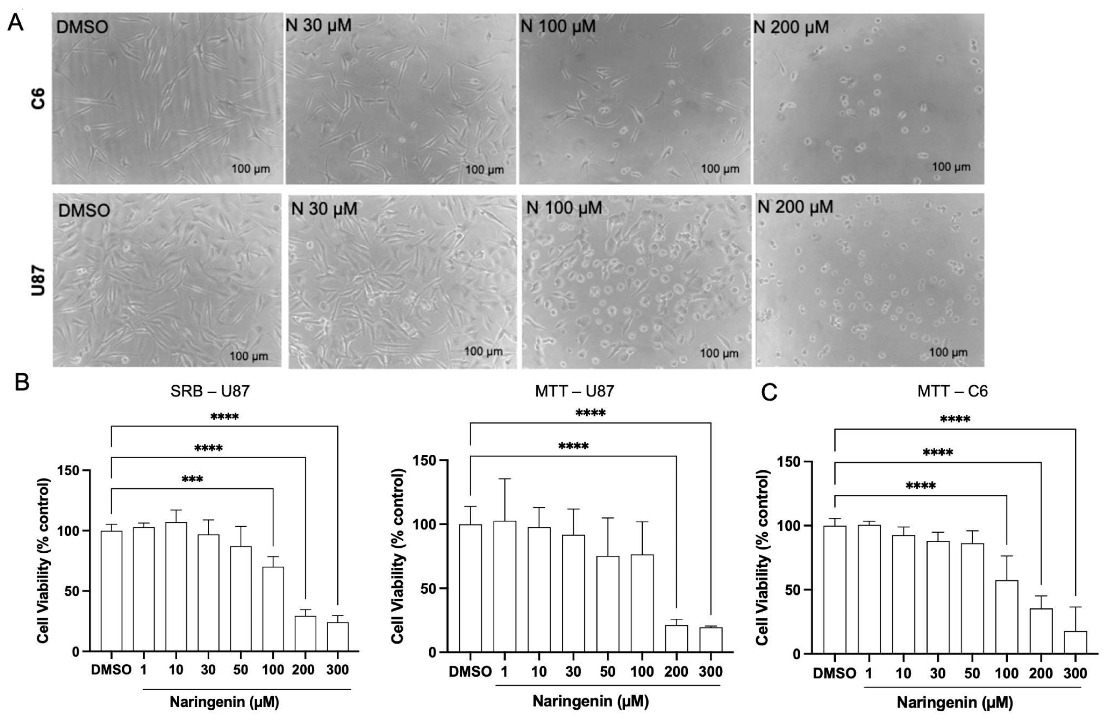 Brainsci 15 00325 g001