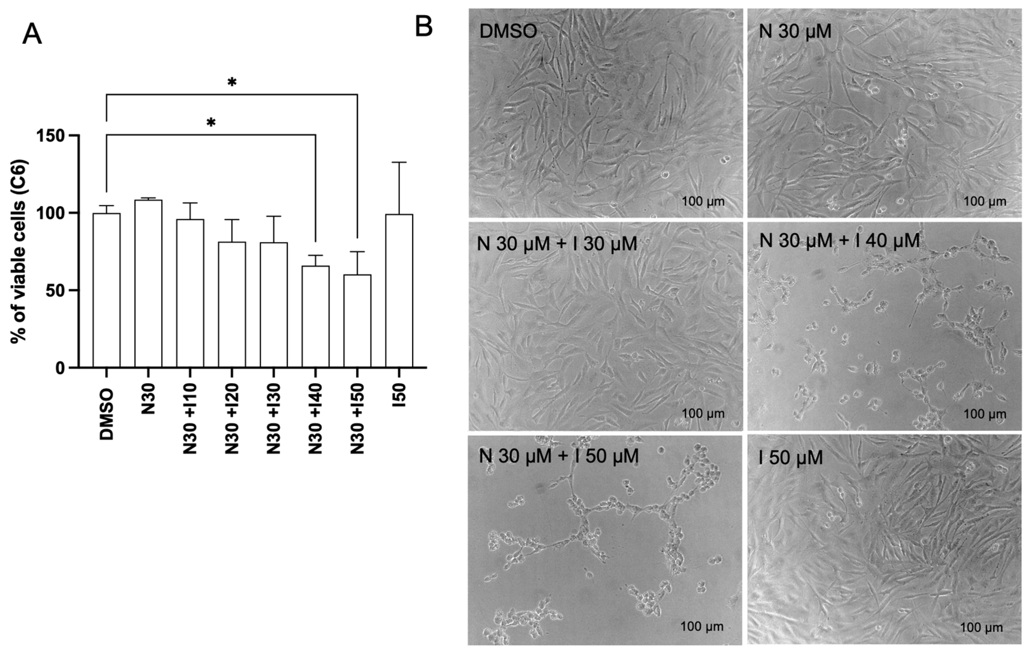 Brainsci 15 00325 g002