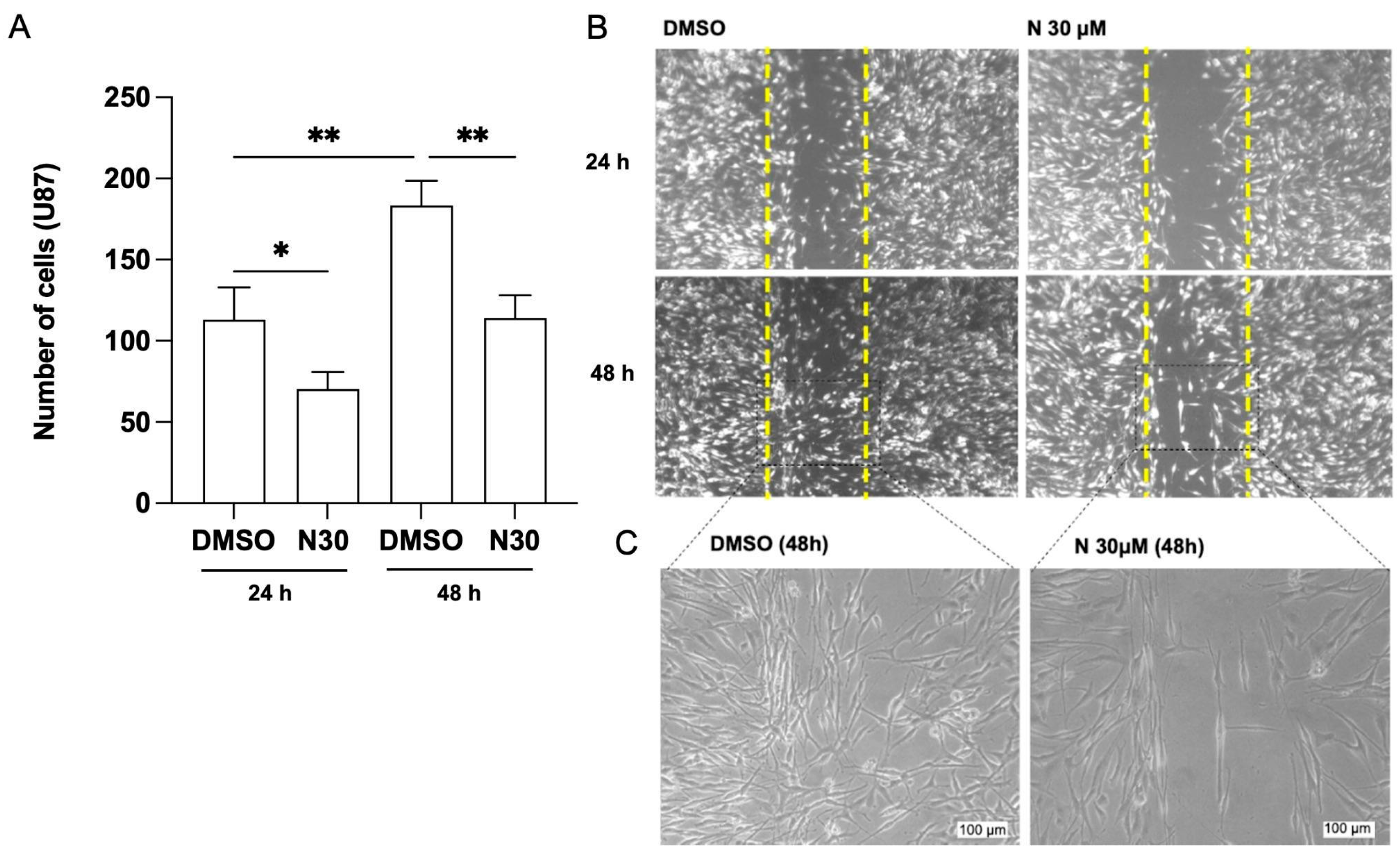 Brainsci 15 00325 g003