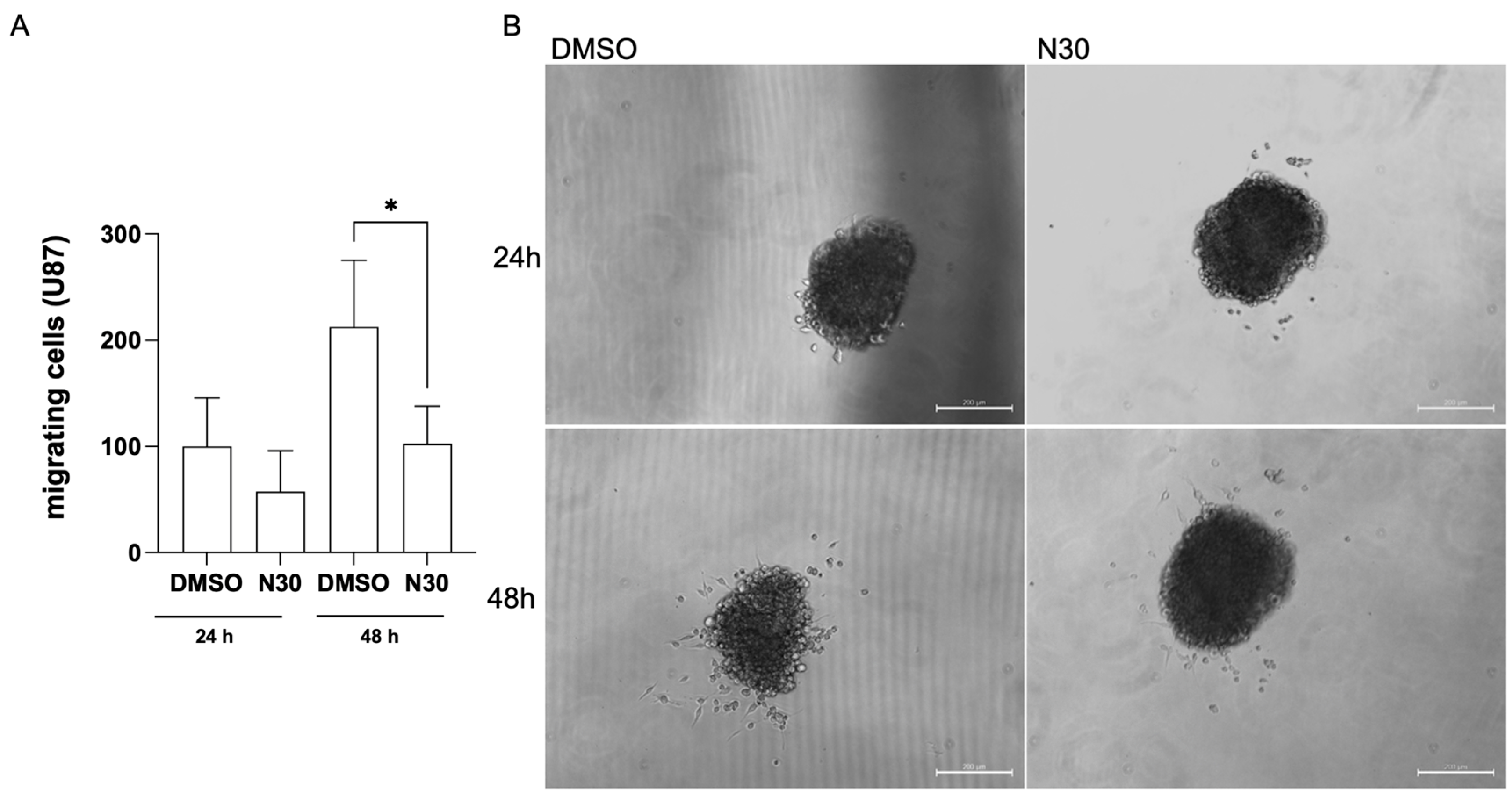 Brainsci 15 00325 g004