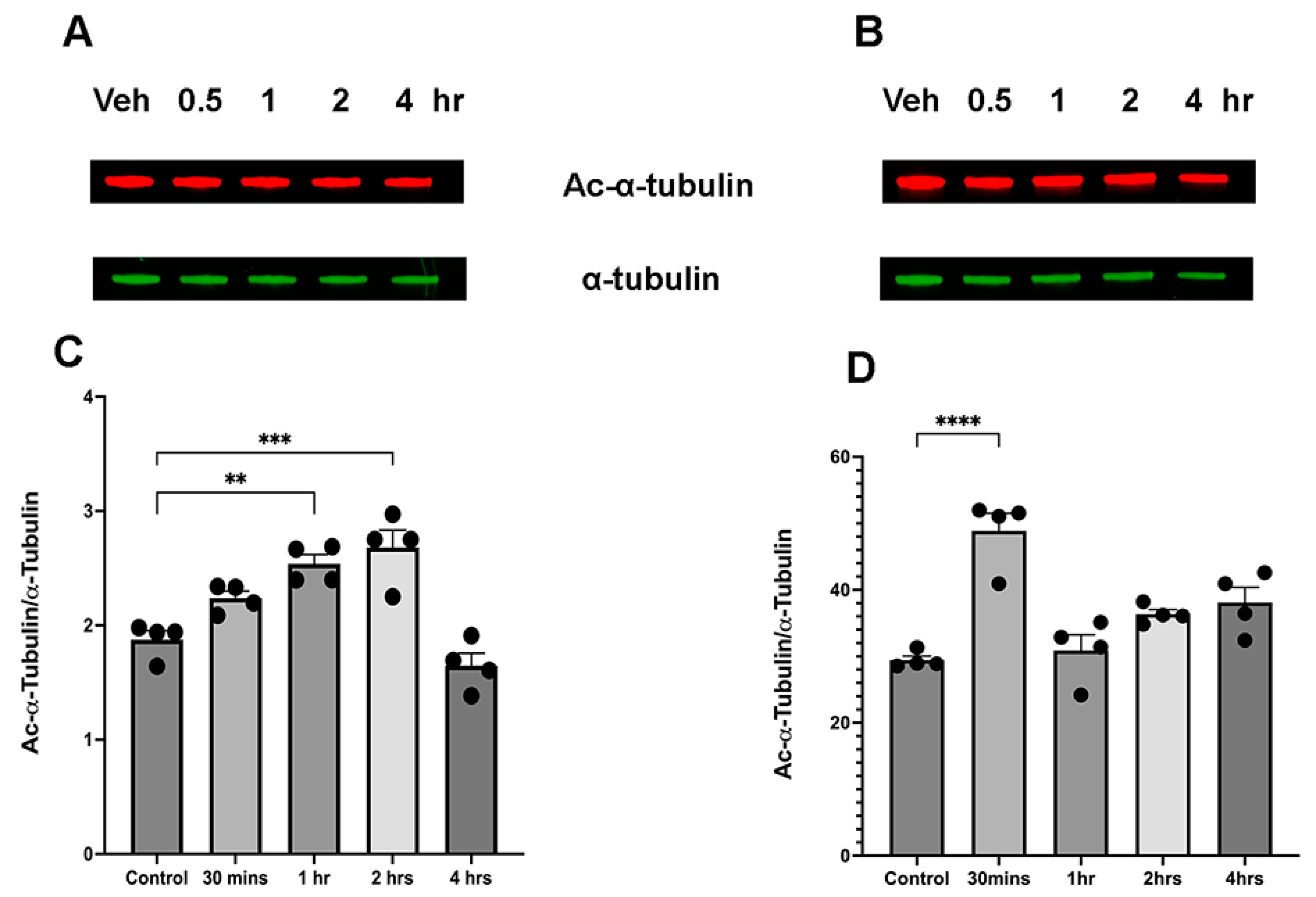Brainsci 15 00326 g001