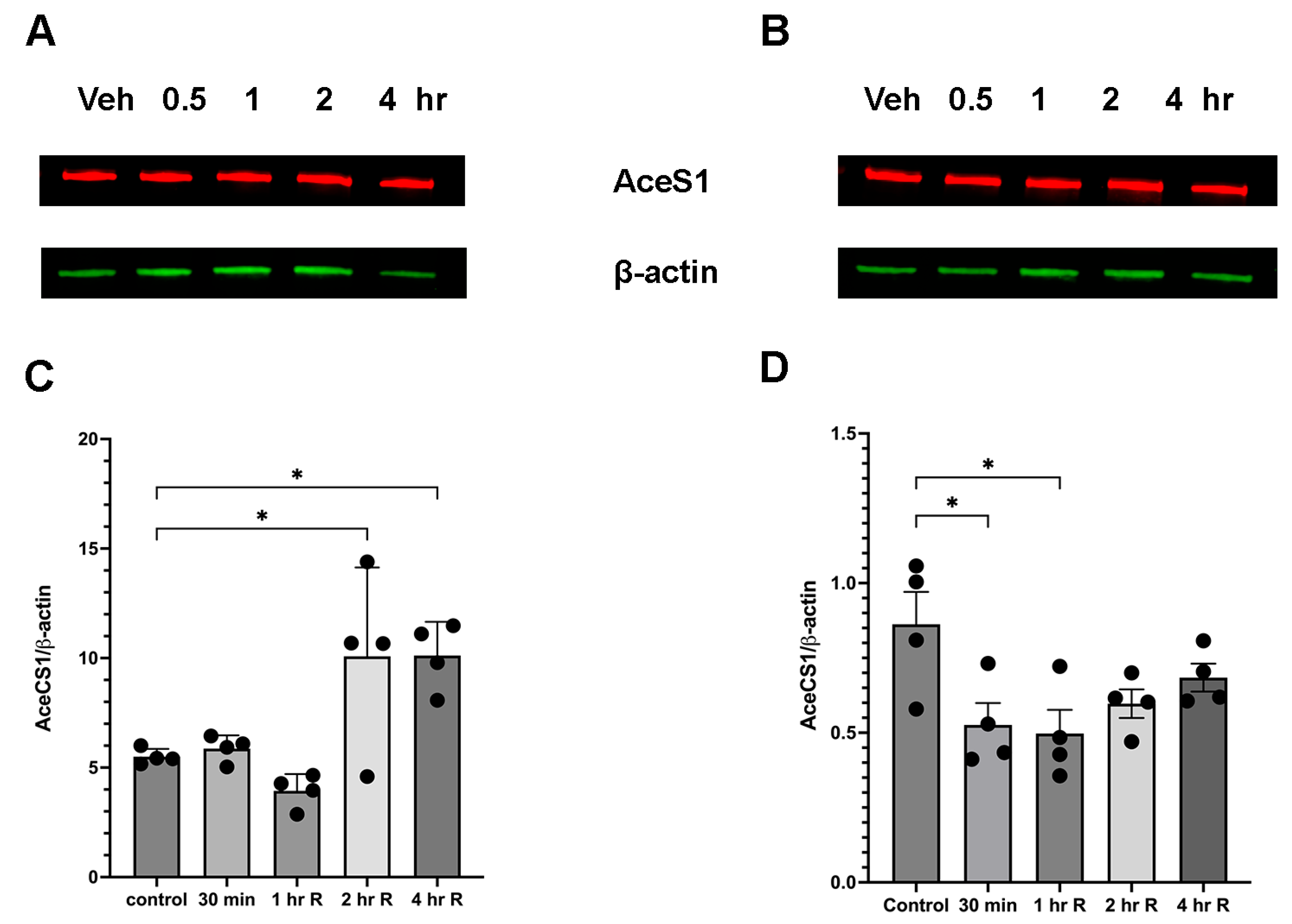 Brainsci 15 00326 g003