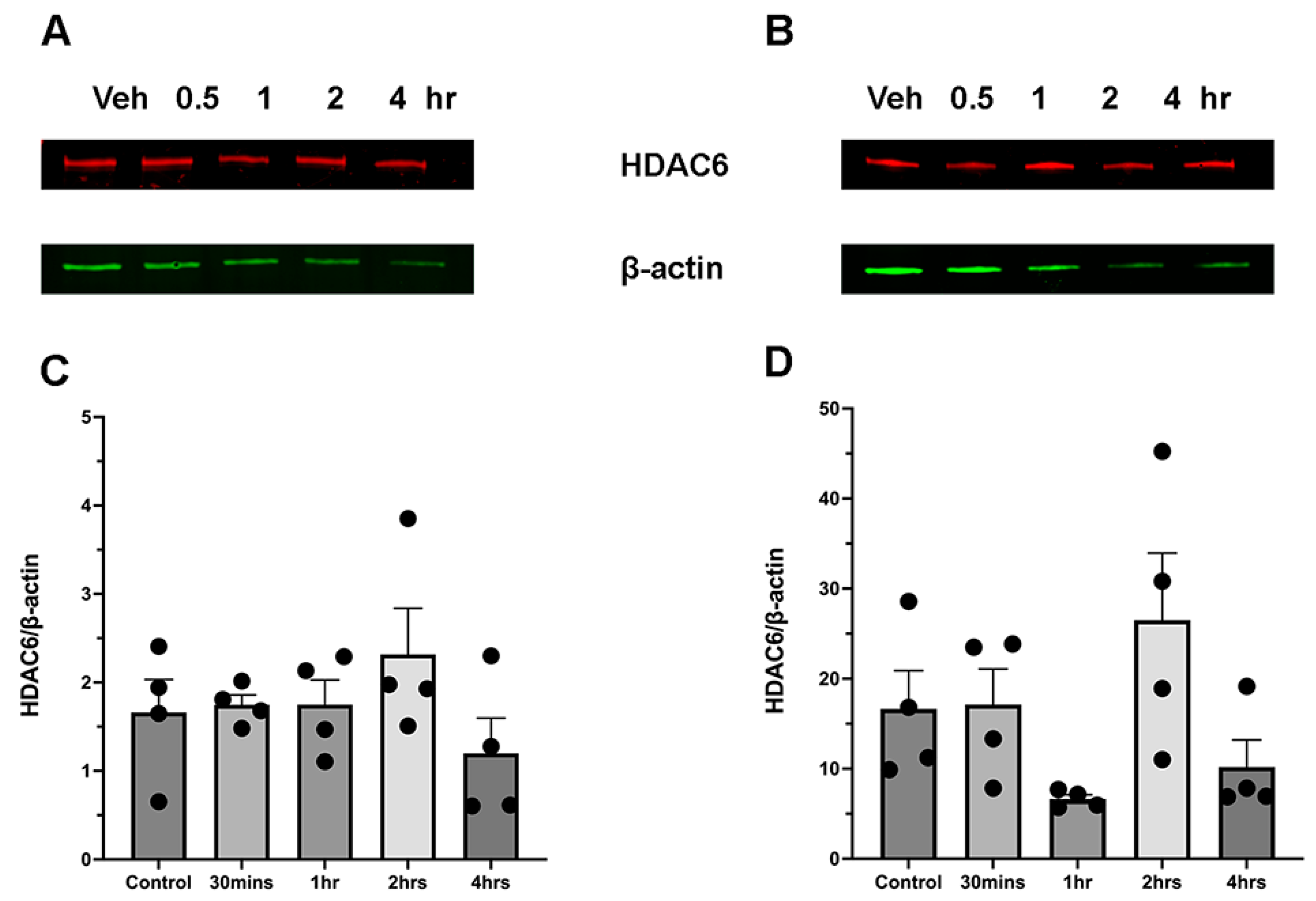 Brainsci 15 00326 g005