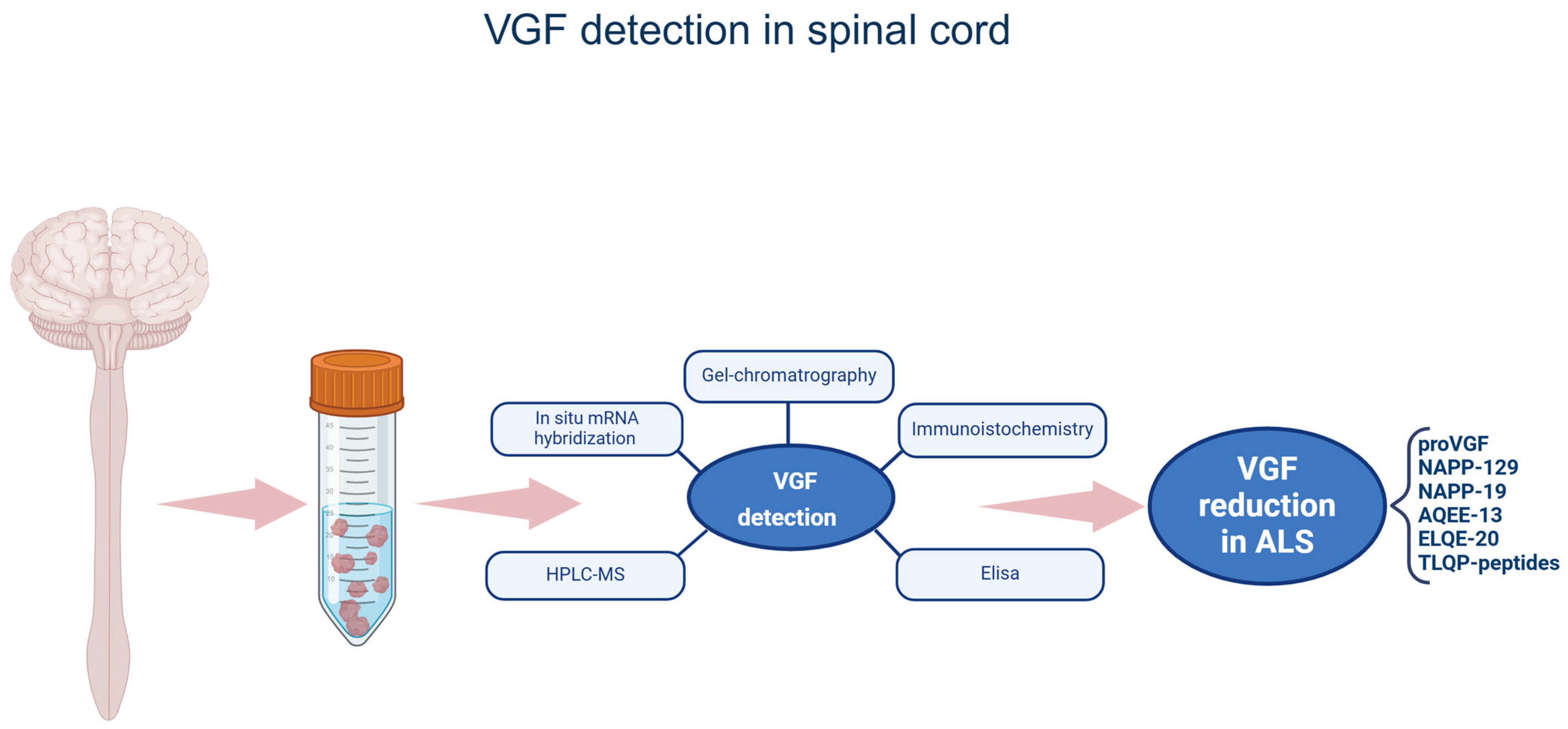 Brainsci 15 00329 g001 Brainsci 15 00329 g001
