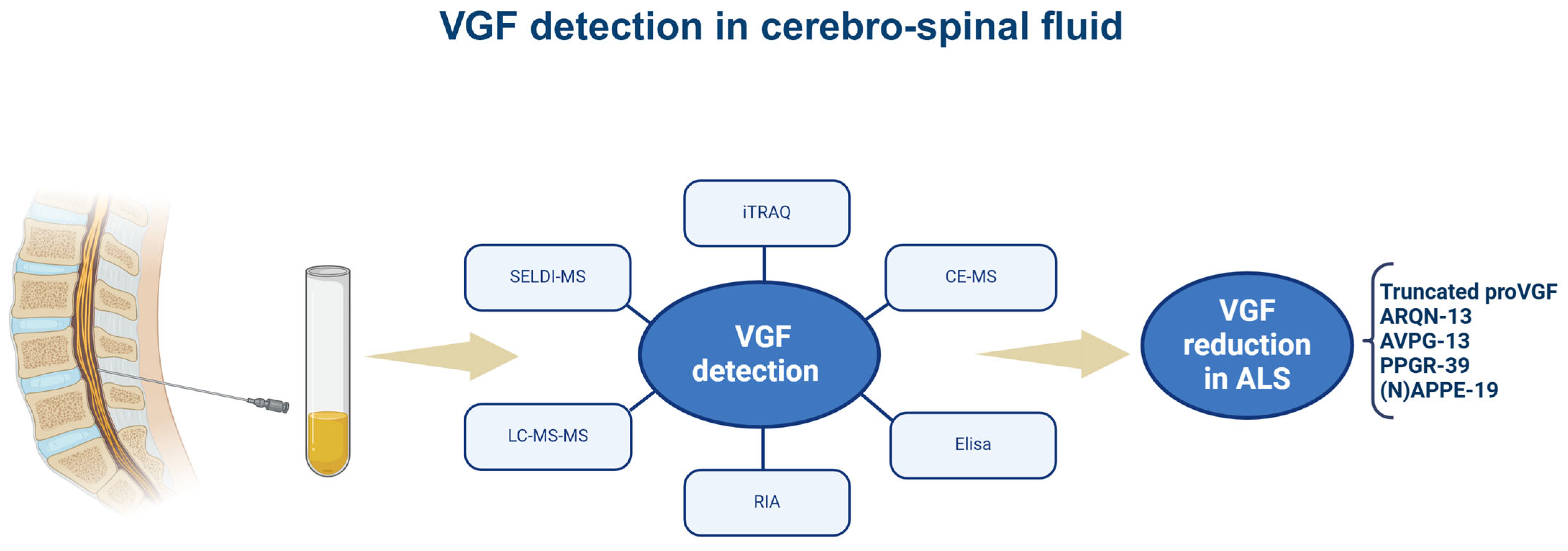 Brainsci 15 00329 g002 Brainsci 15 00329 g002