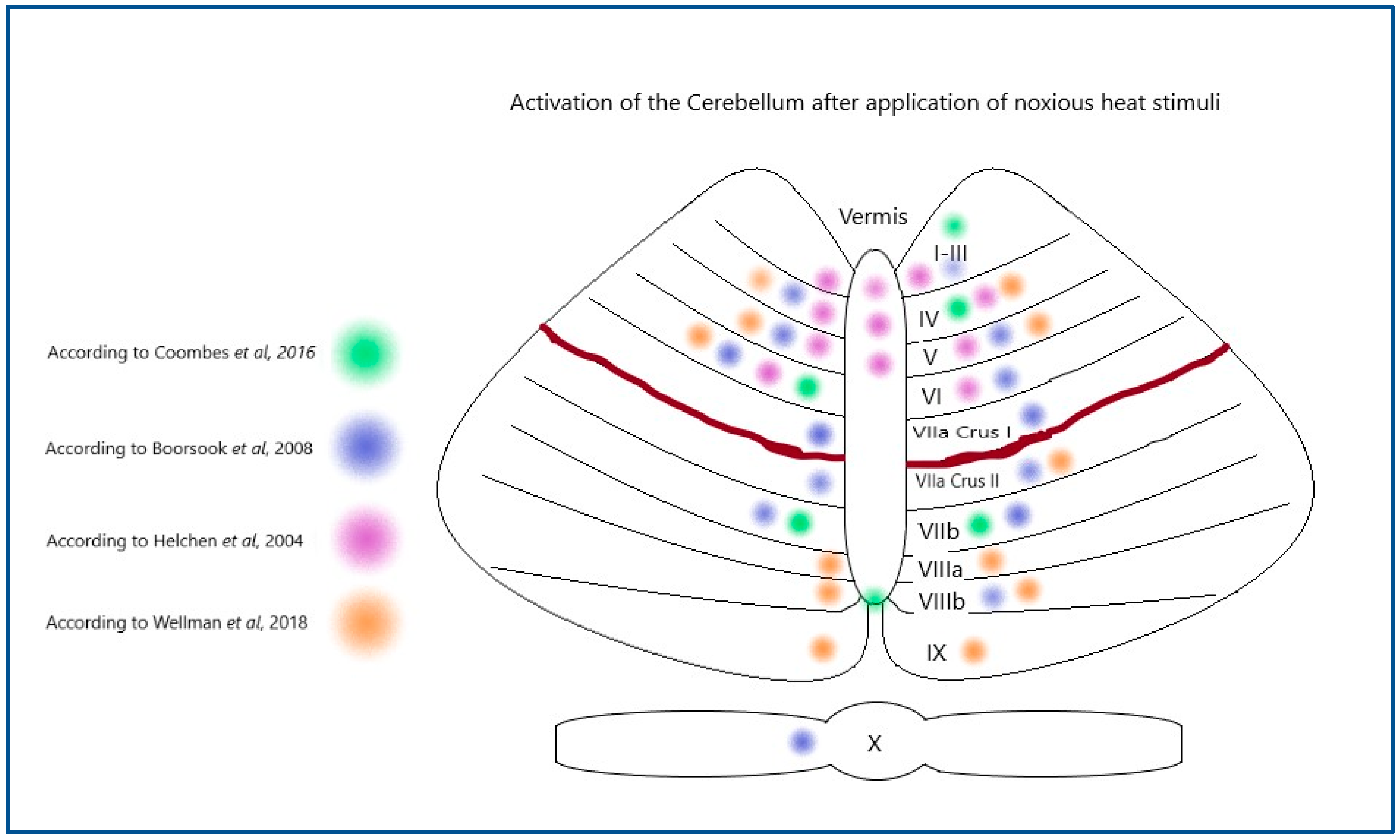 Brainsci 15 00344 g001