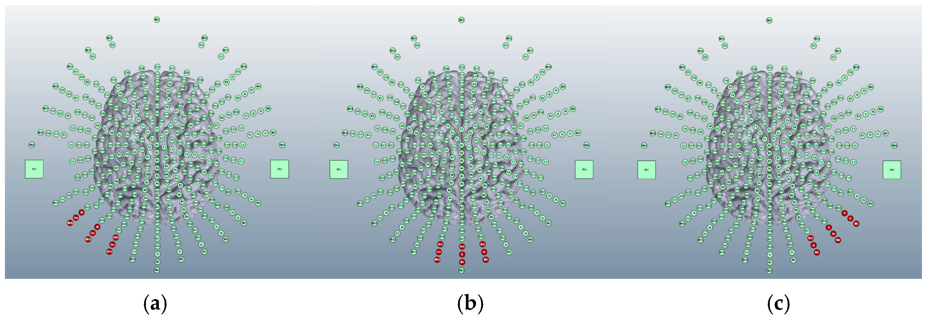 Brainsci 15 00344 g003