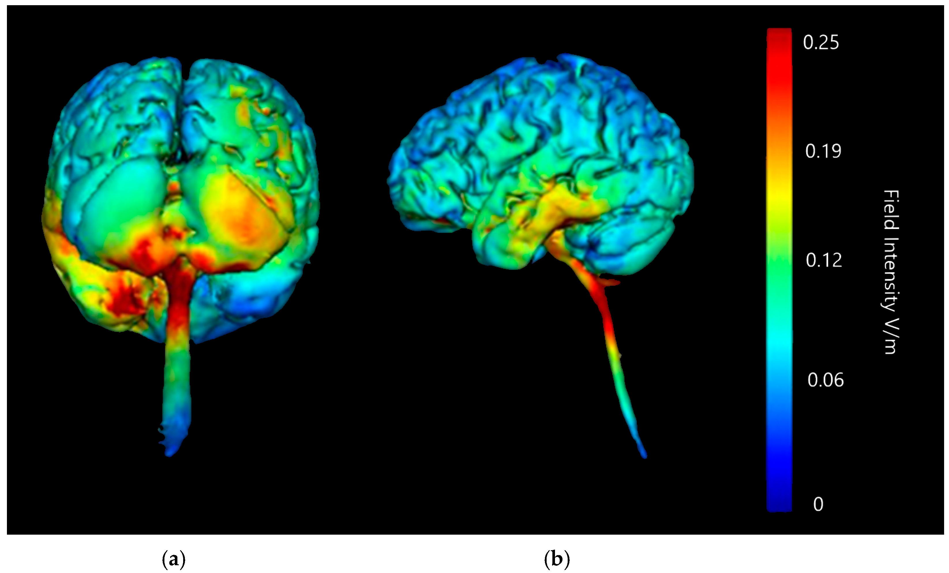 Brainsci 15 00344 g005