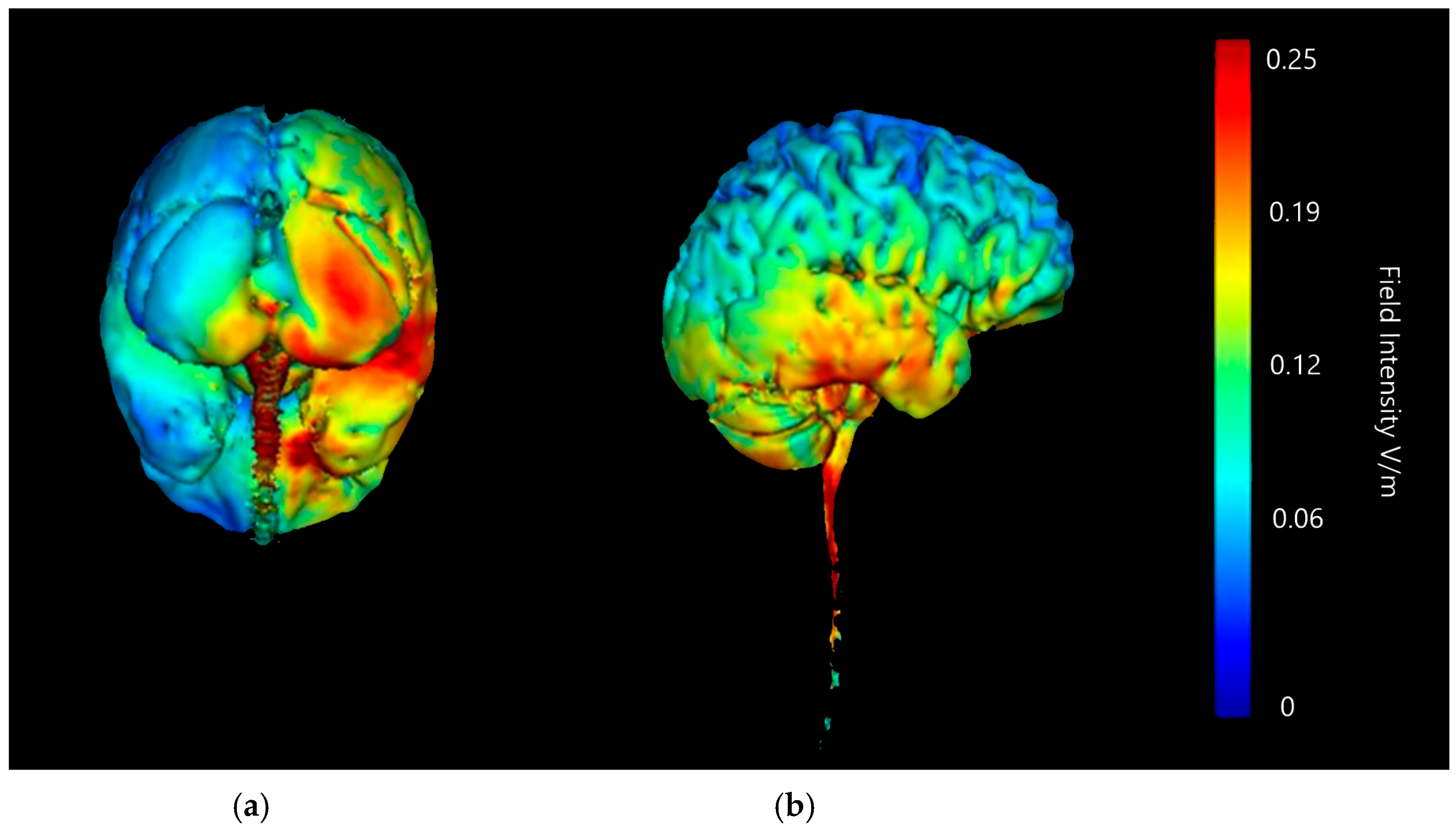 Brainsci 15 00344 g006