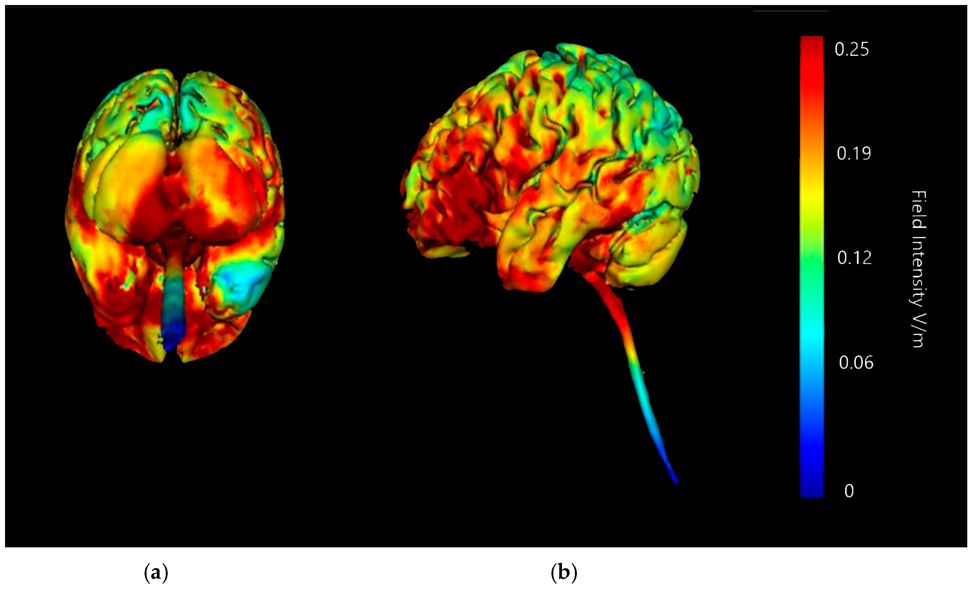 Brainsci 15 00344 g007
