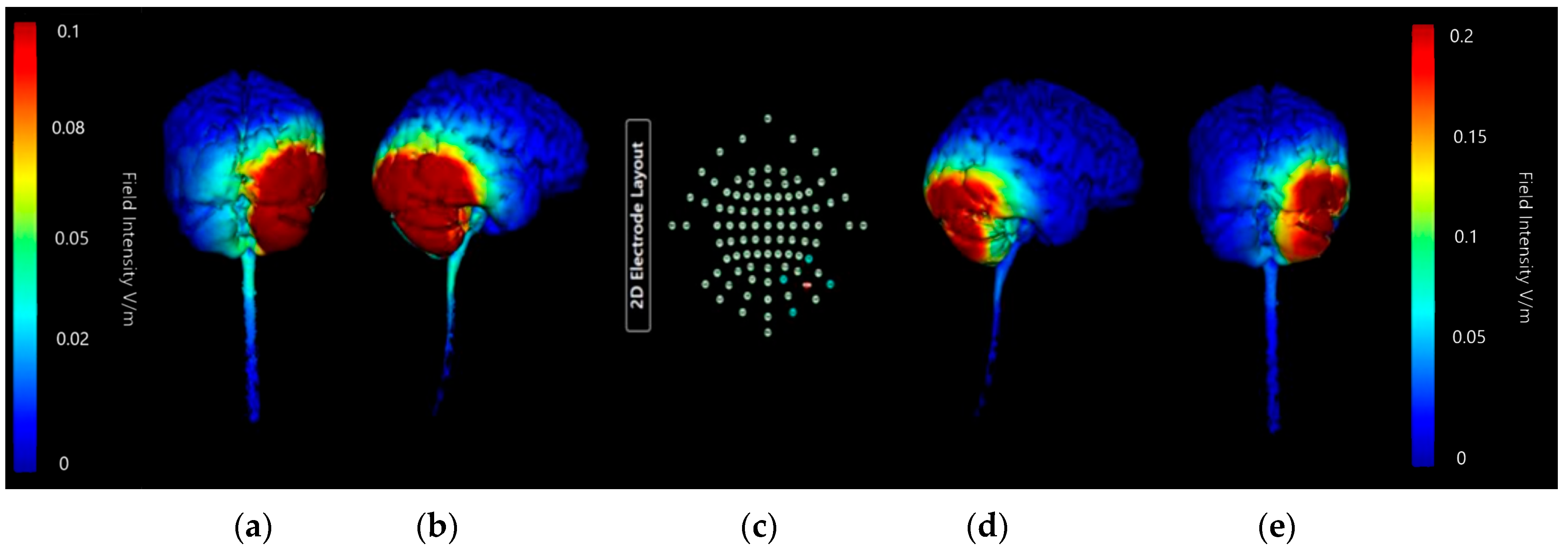 Brainsci 15 00344 g019