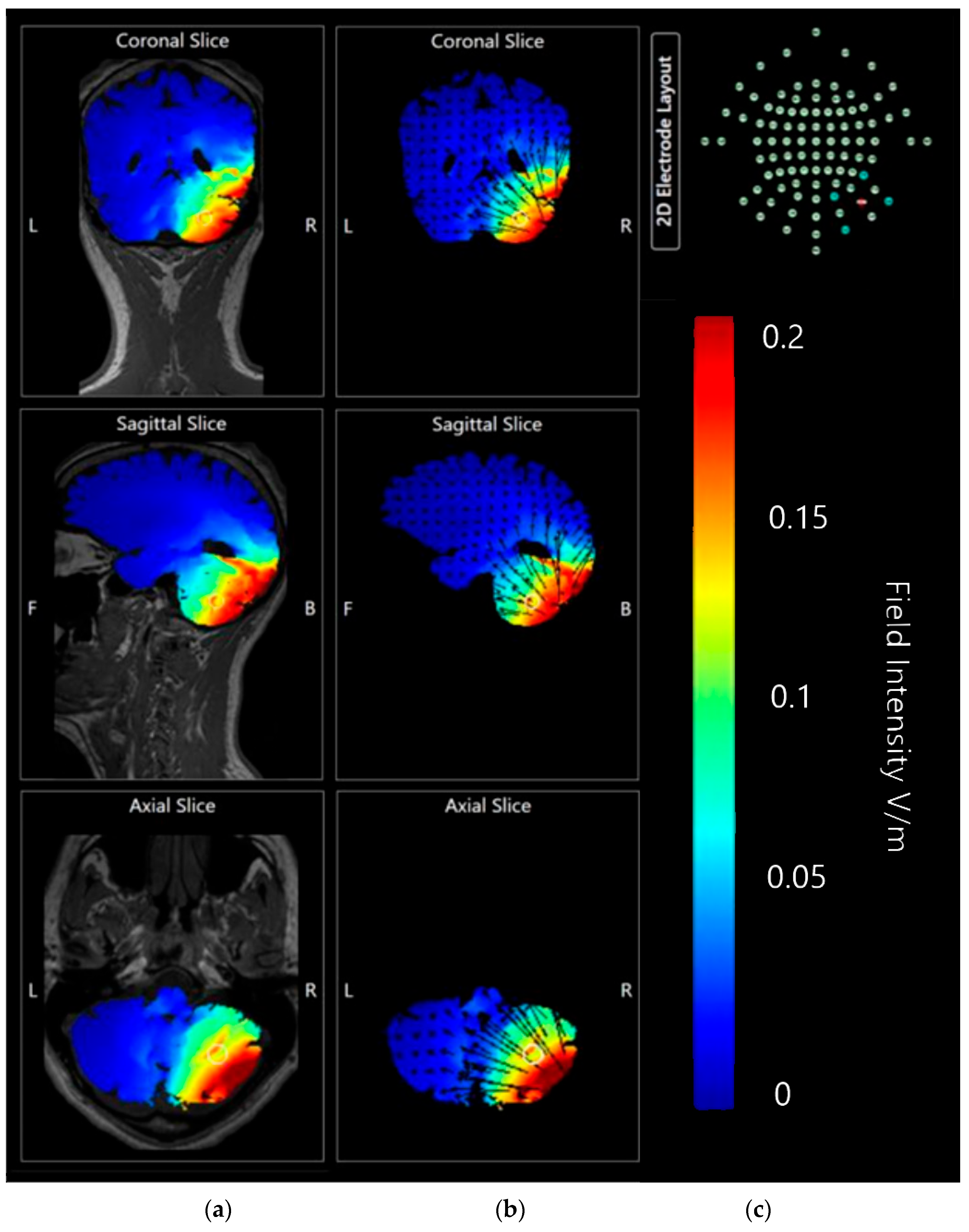 Brainsci 15 00344 g021