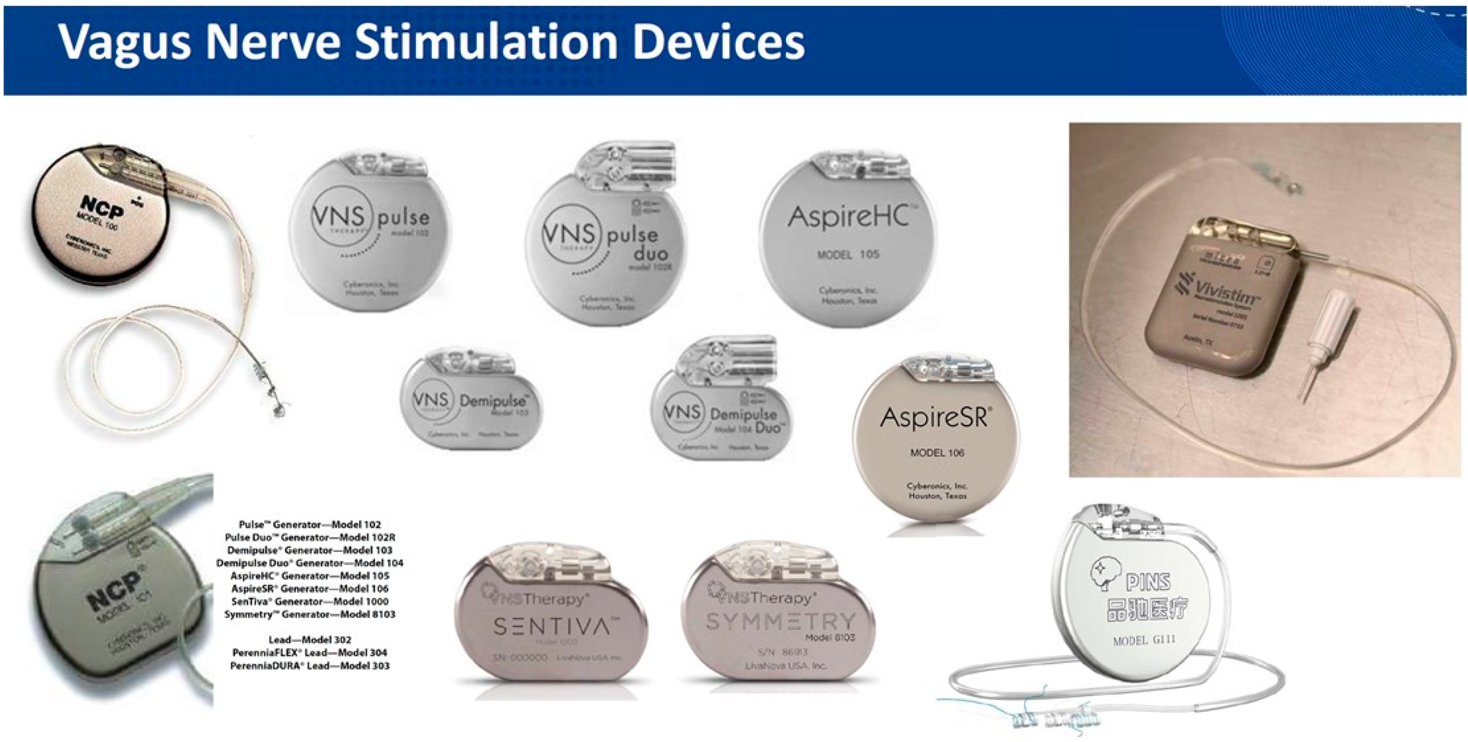 Brainsci 15 00346 g002