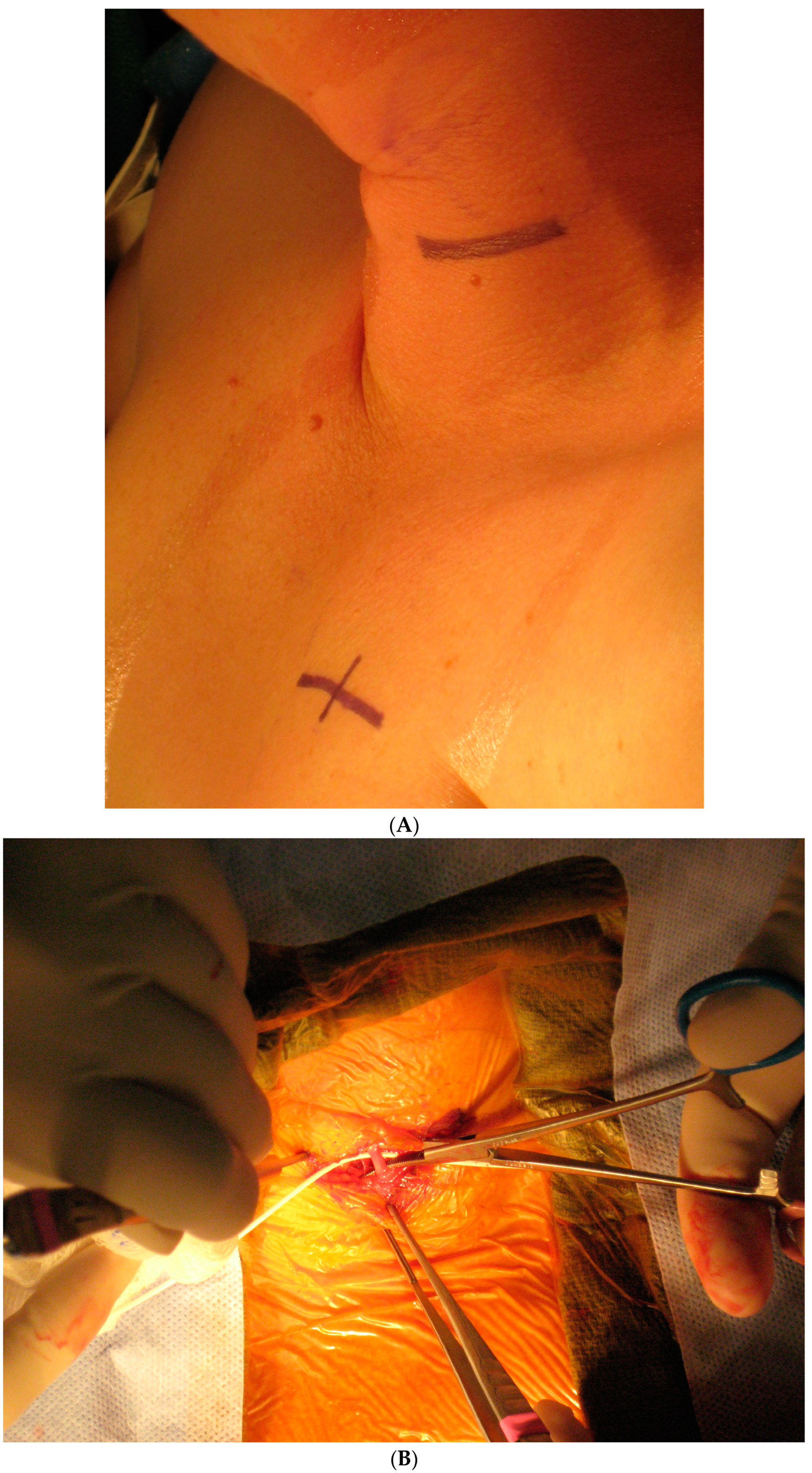 Brainsci 15 00346 g003a