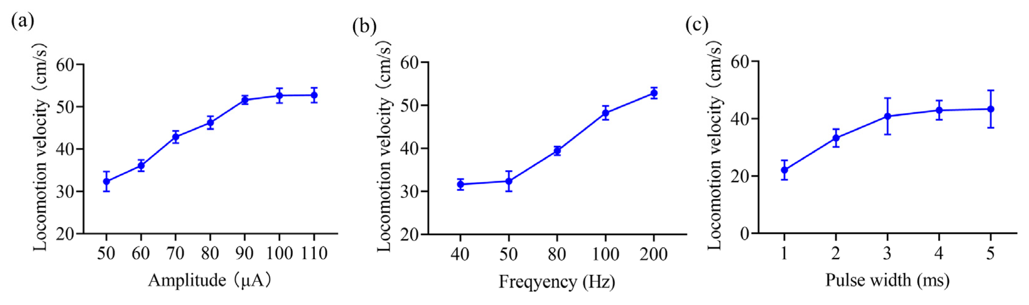 Brainsci 15 00348 g005 Brainsci 15 00348 g005
