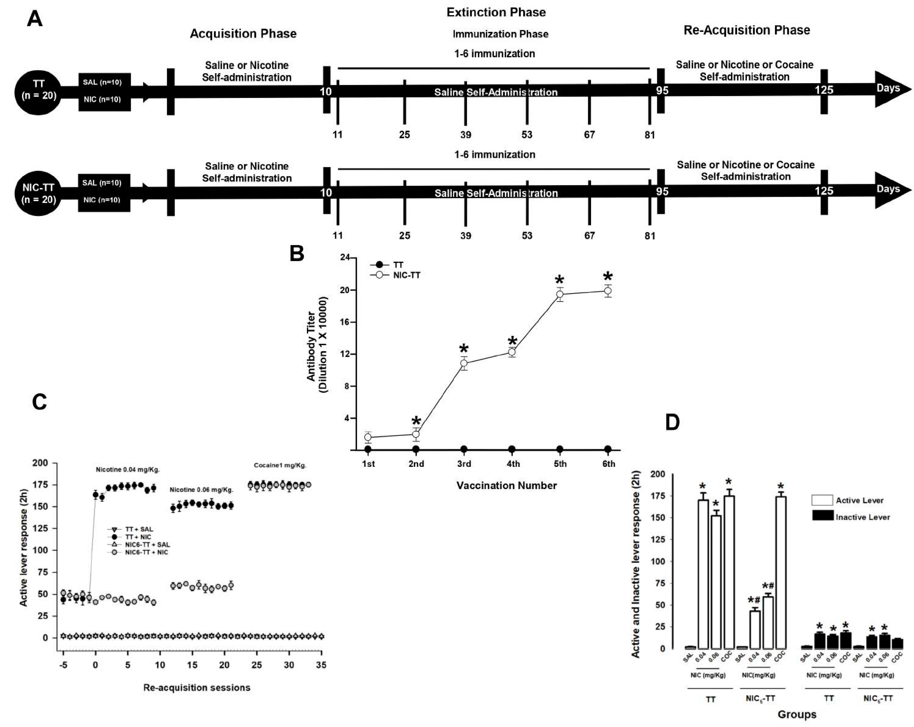 Brainsci 15 00364 g002 Brainsci 15 00364 g002