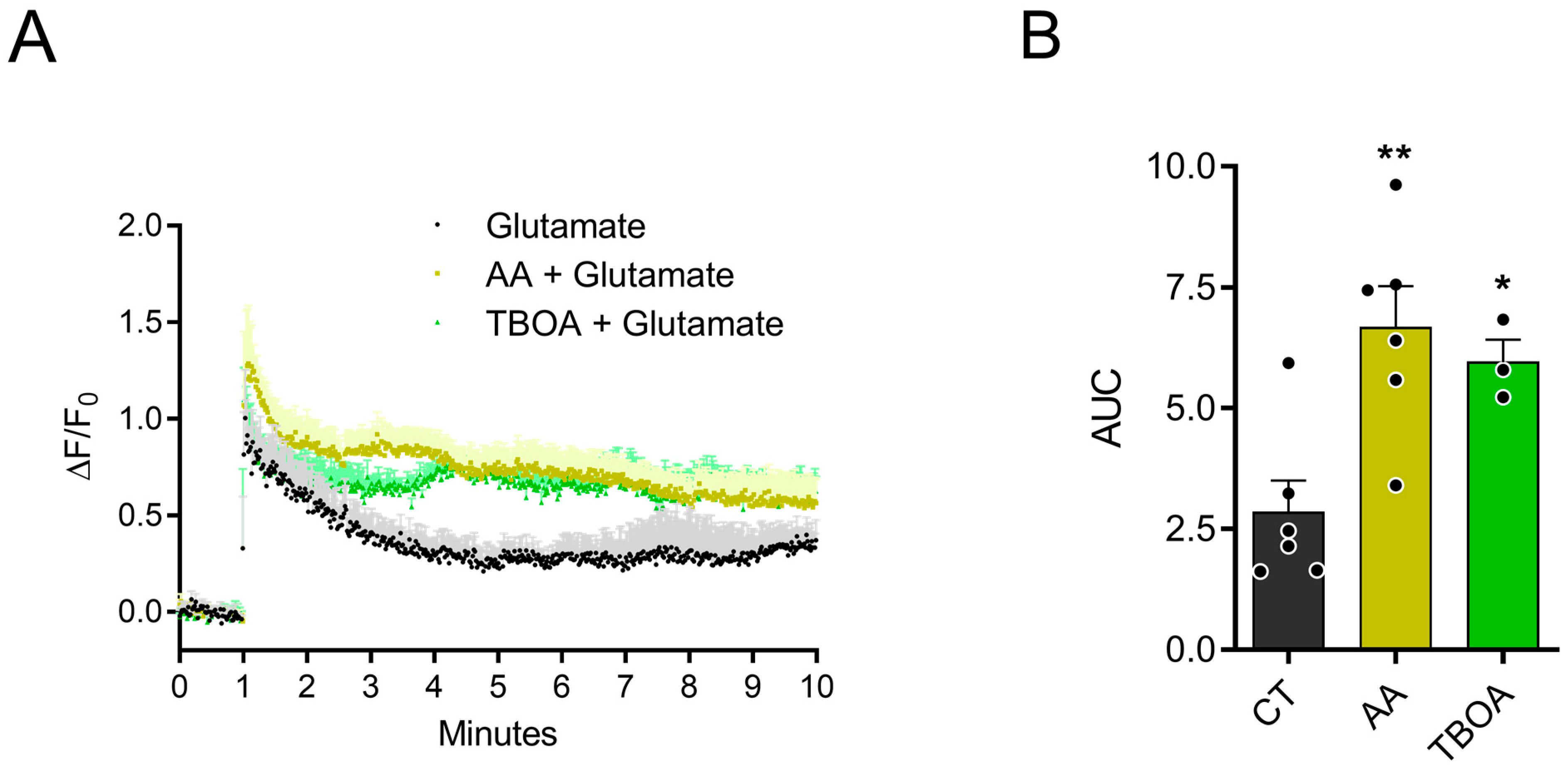 Brainsci 15 00369 g001