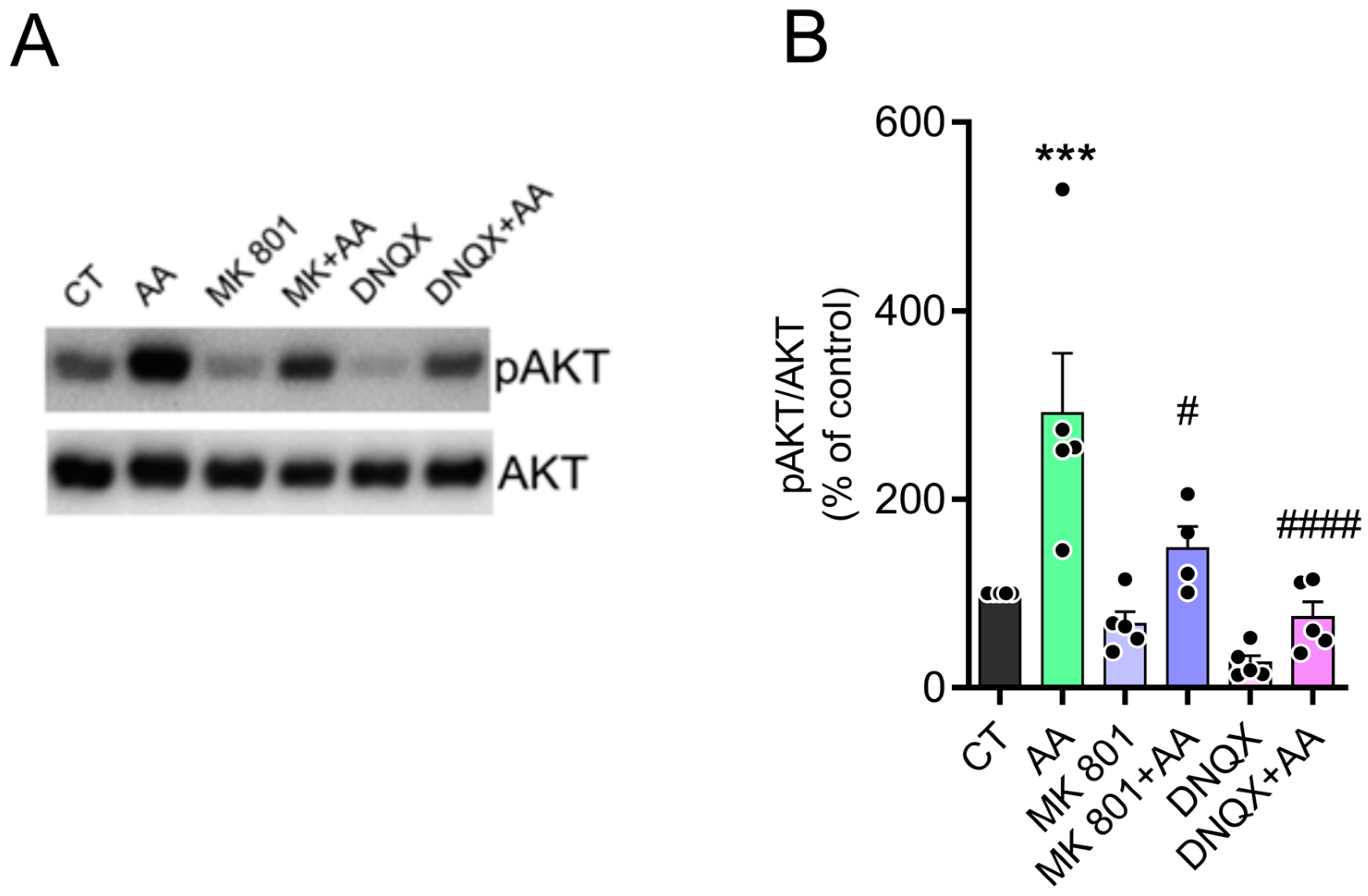 Brainsci 15 00369 g004