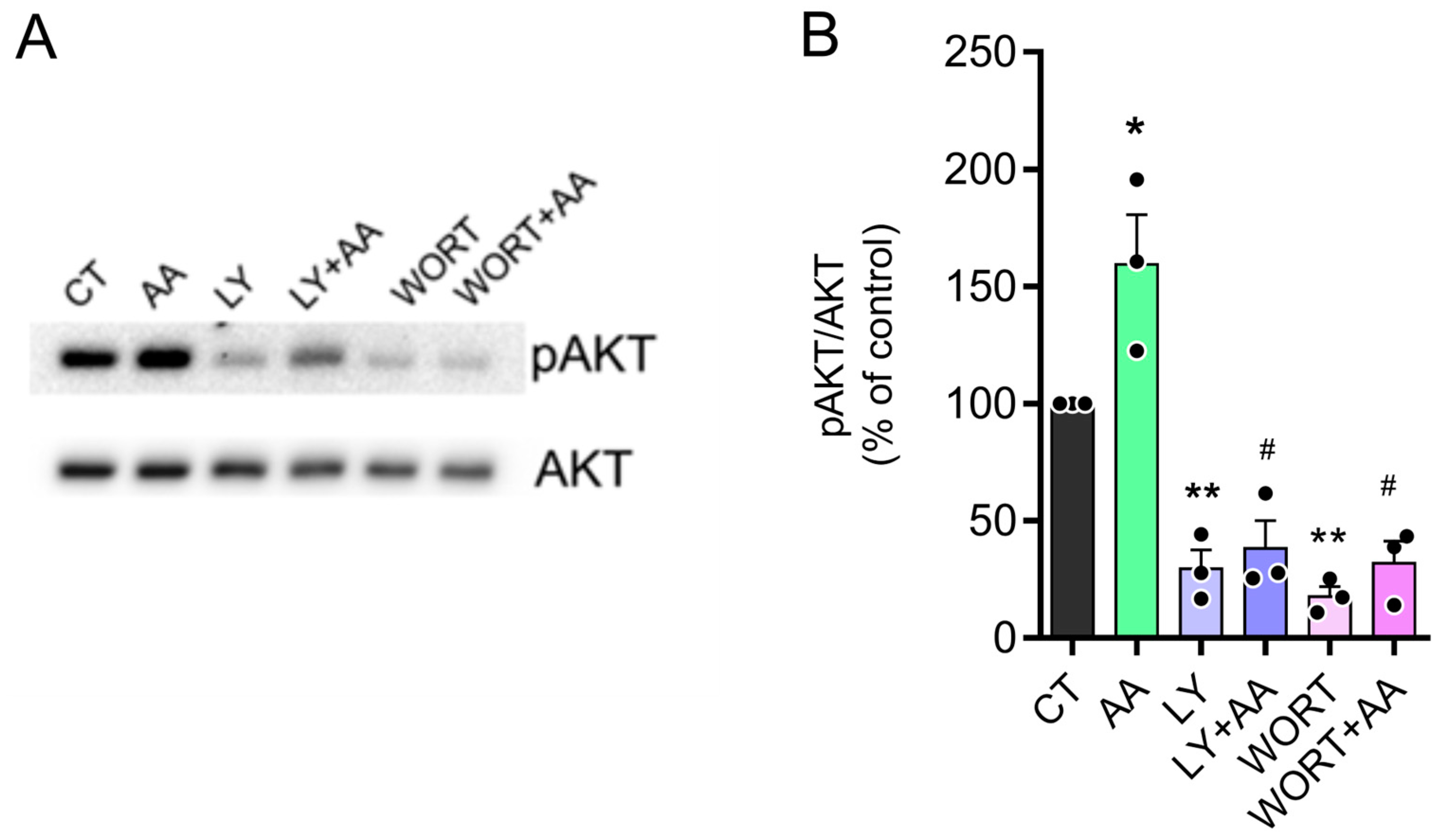 Brainsci 15 00369 g006