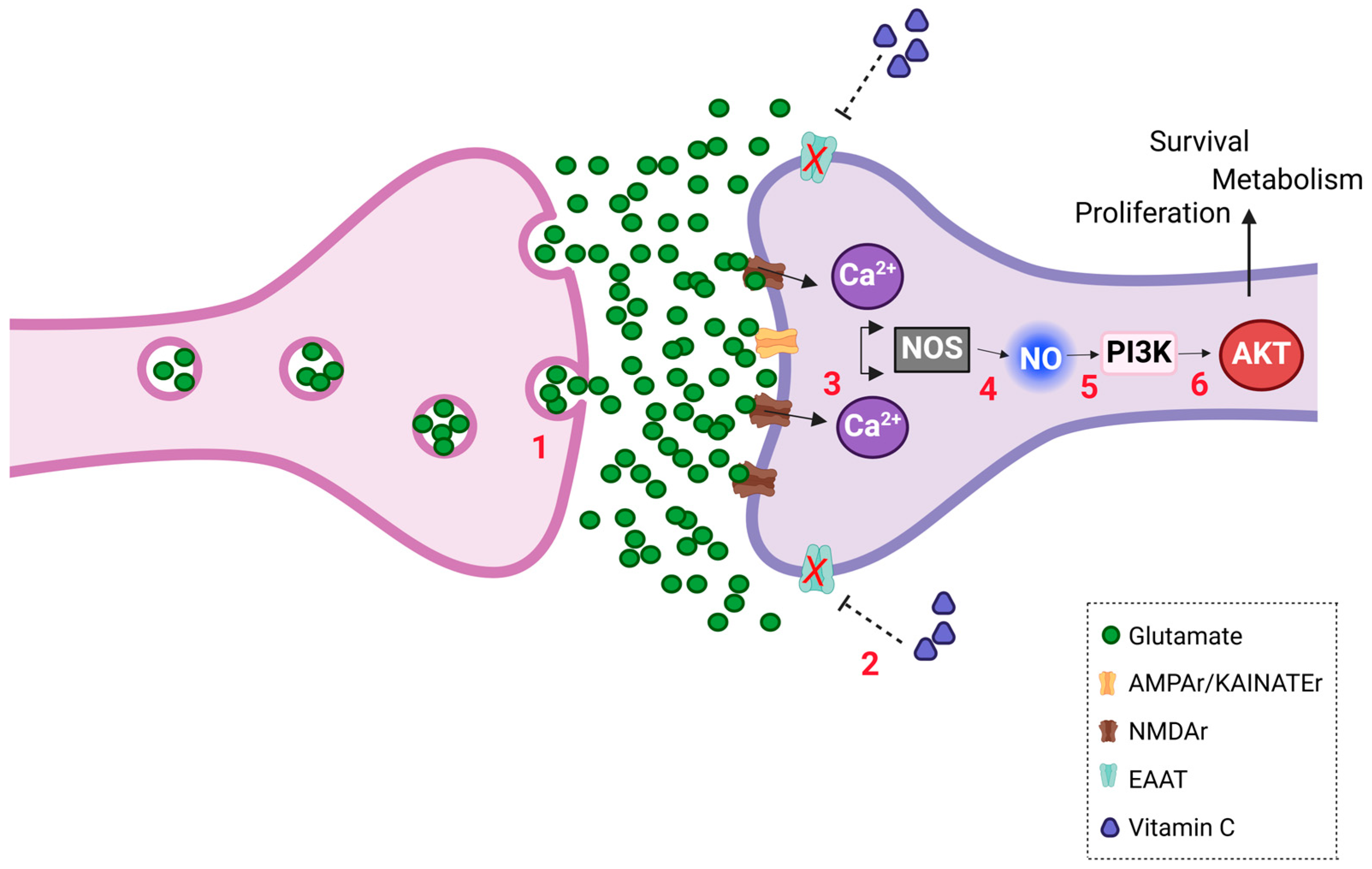 Brainsci 15 00369 g007