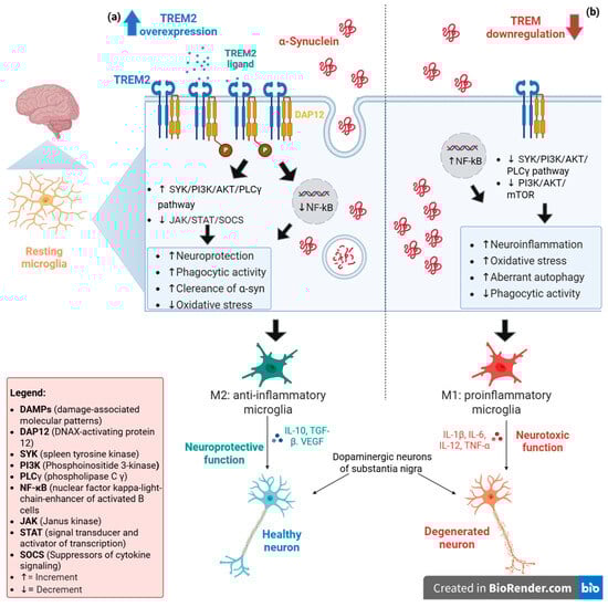 Brainsci 15 00379 g001