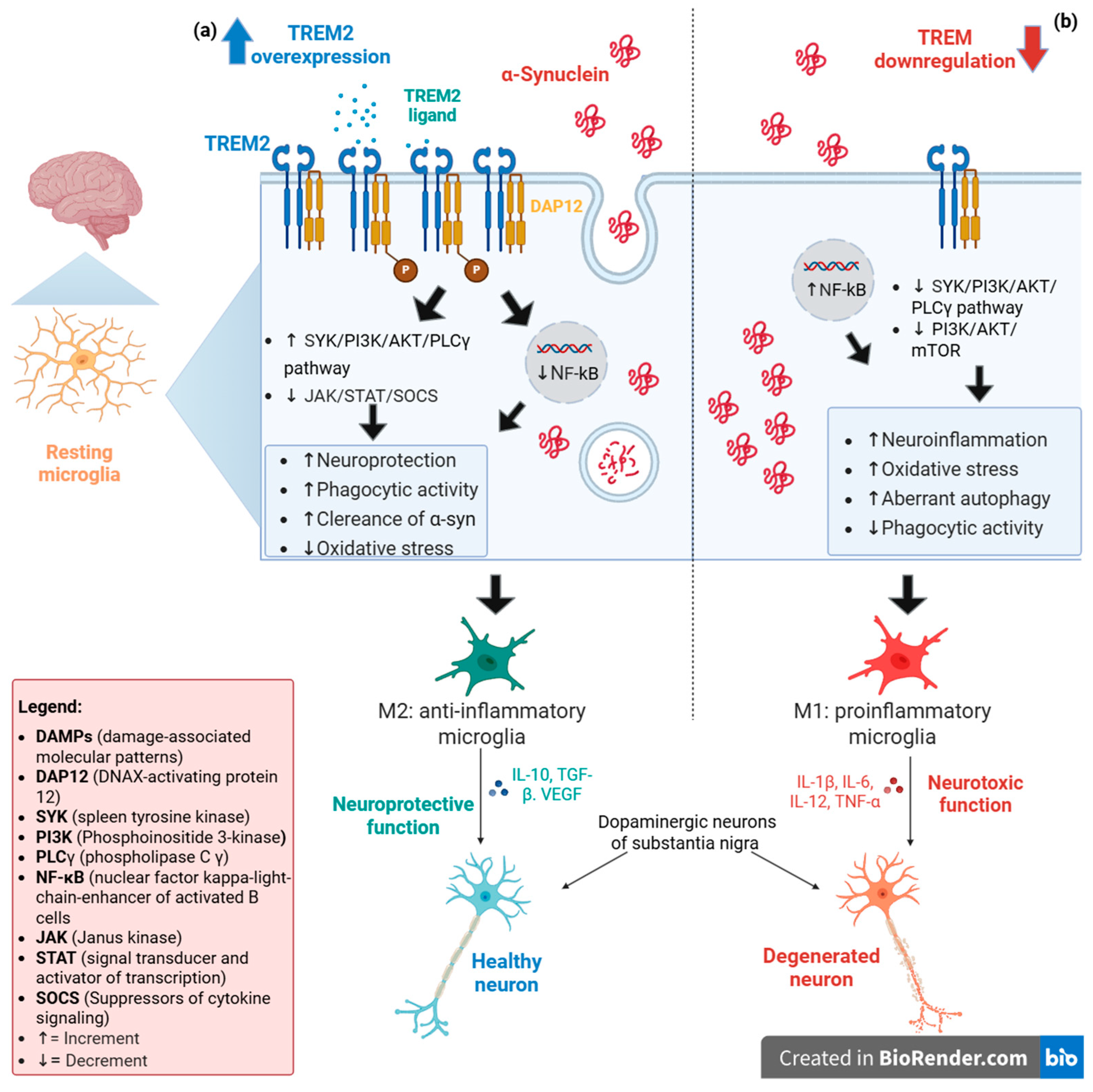 Brainsci 15 00379 g001