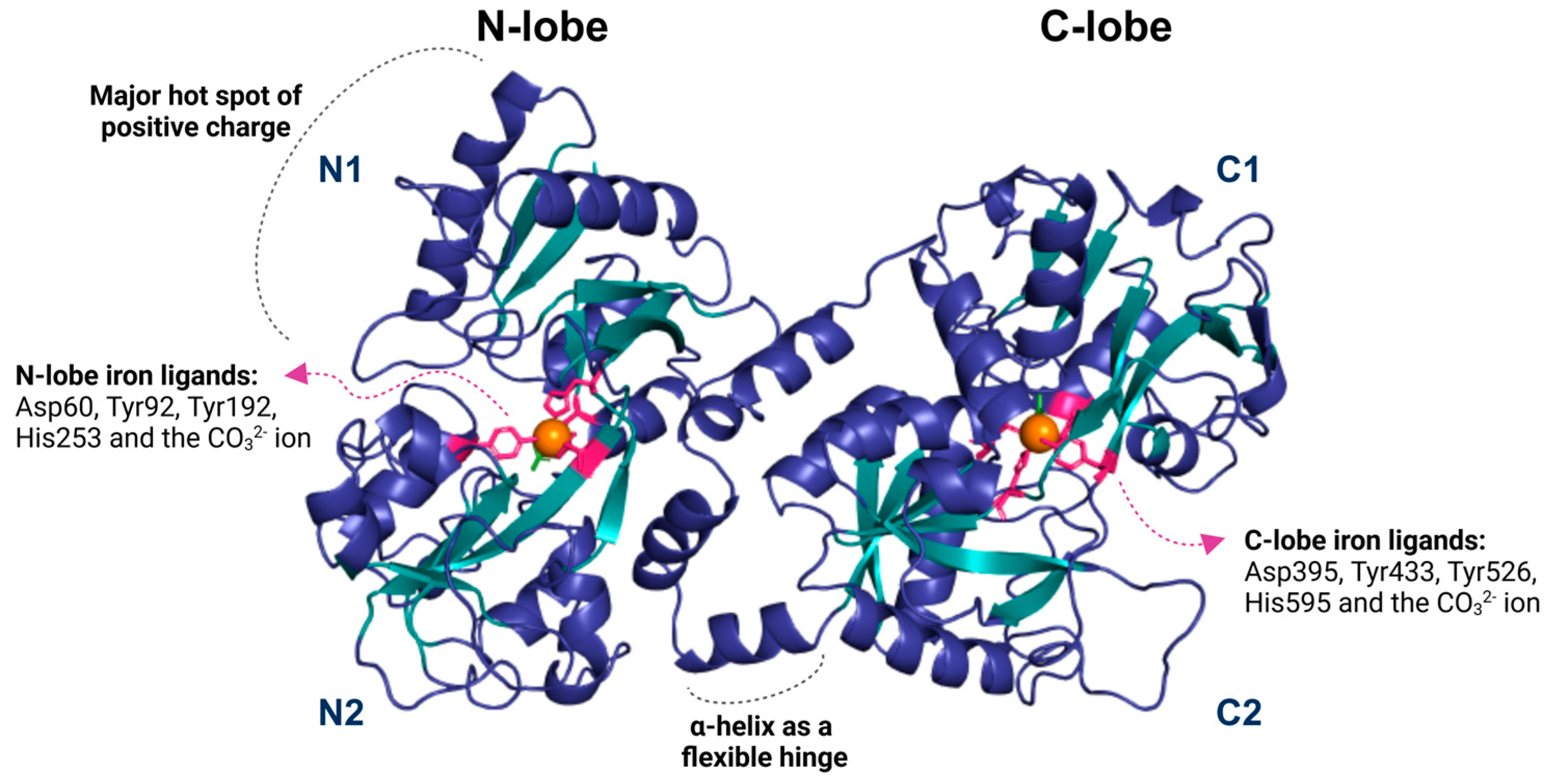 Brainsci 15 00380 g001