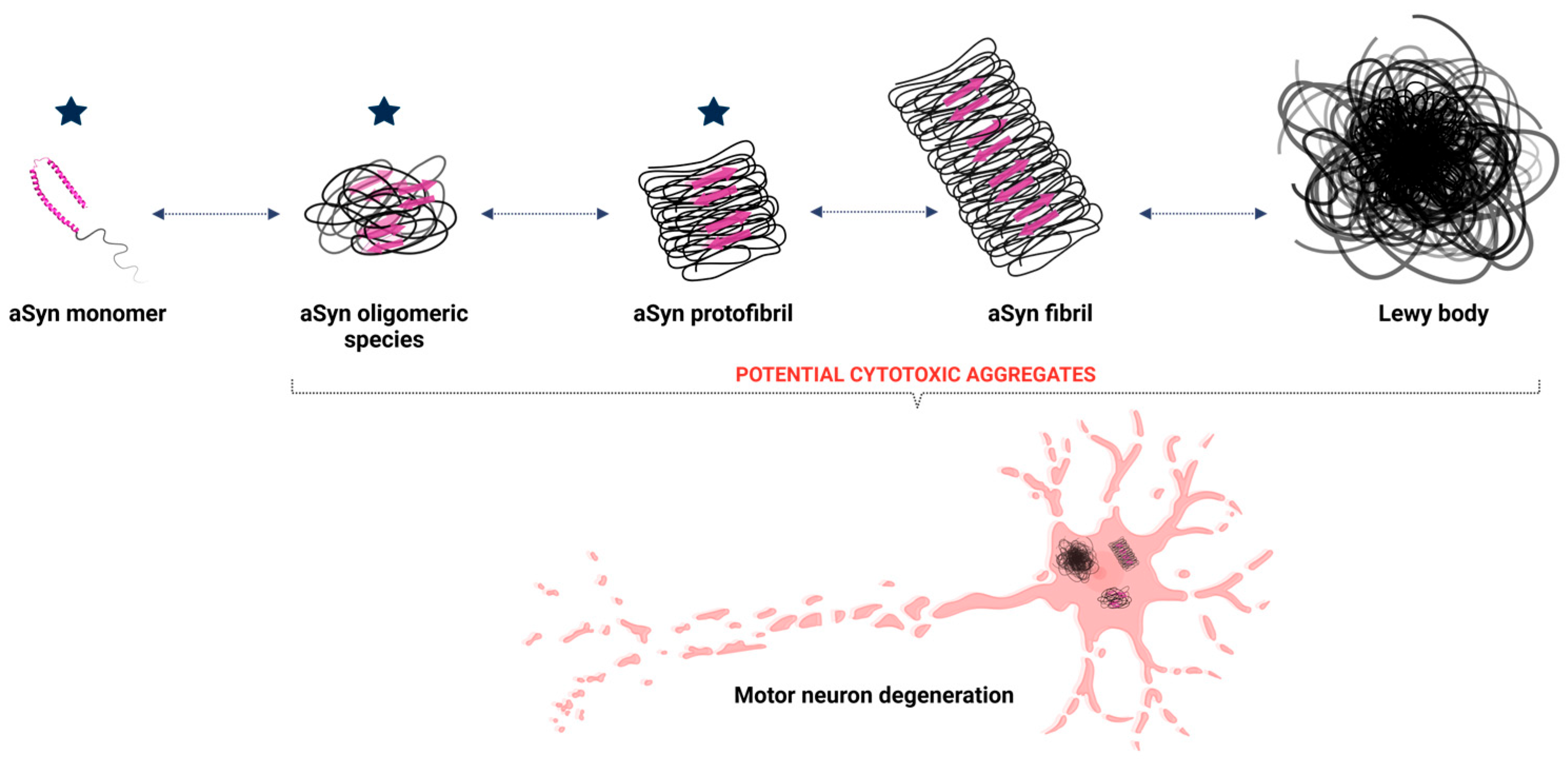 Brainsci 15 00380 g002