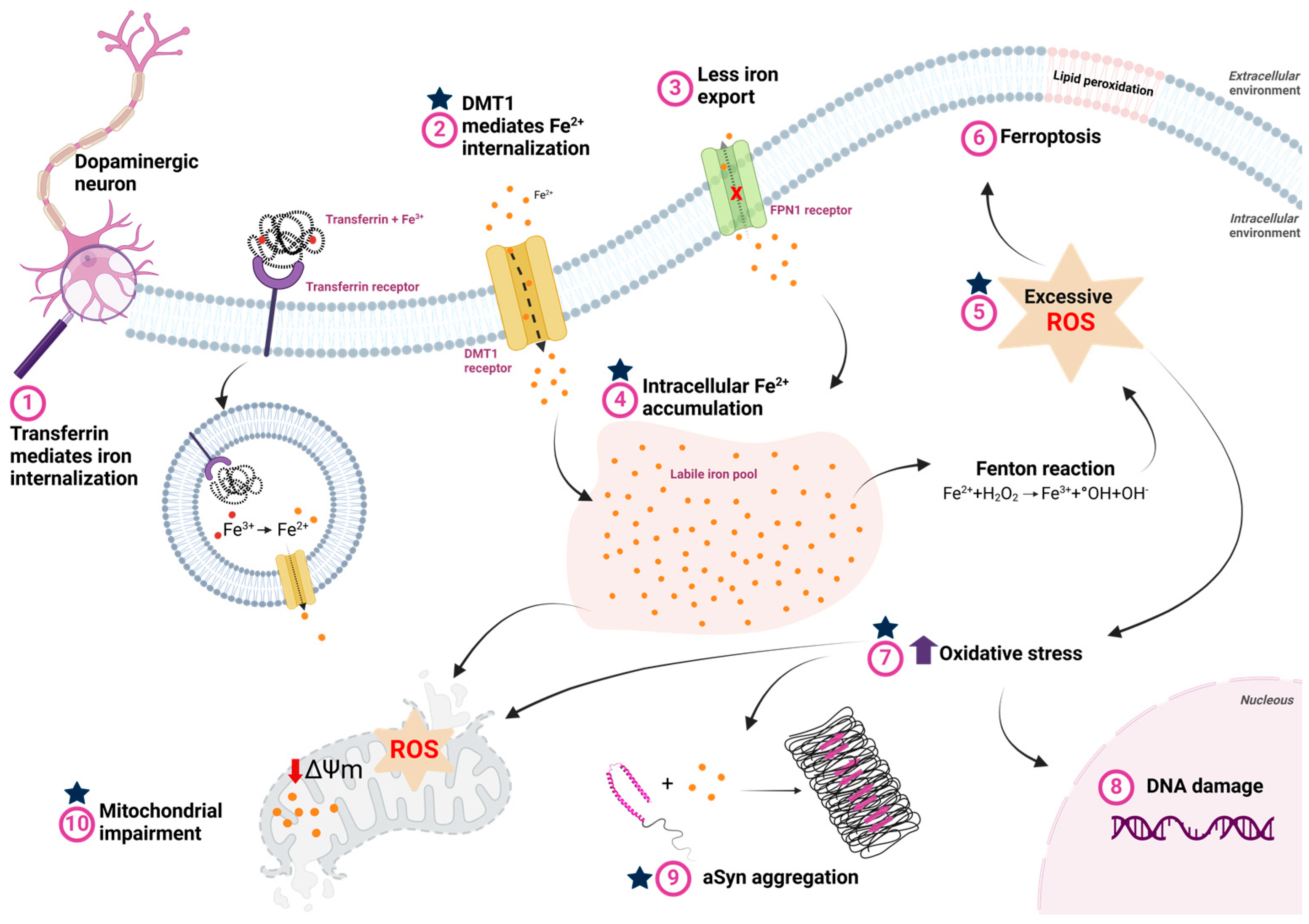 Brainsci 15 00380 g003