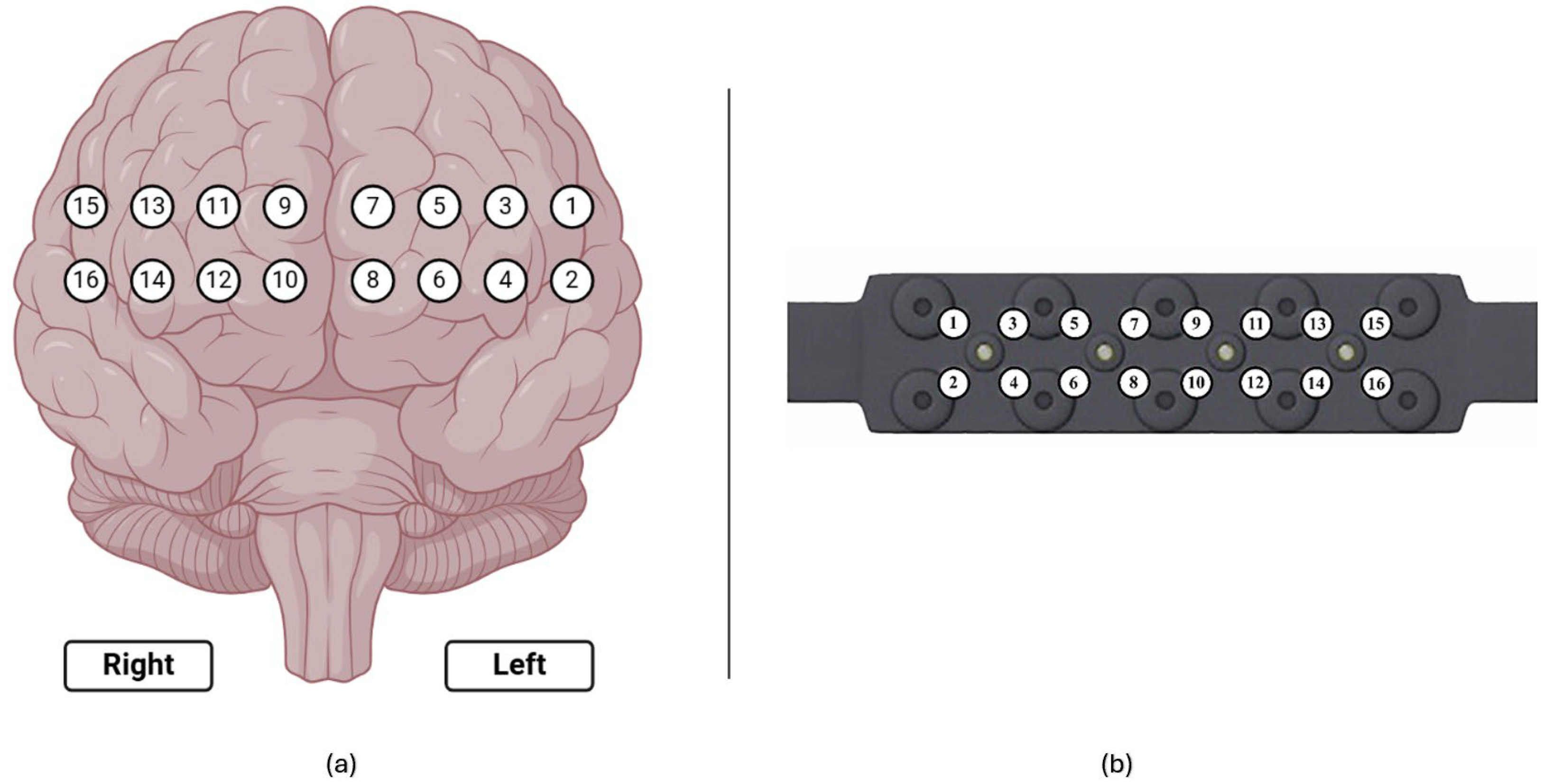 Brainsci 15 00387 g007