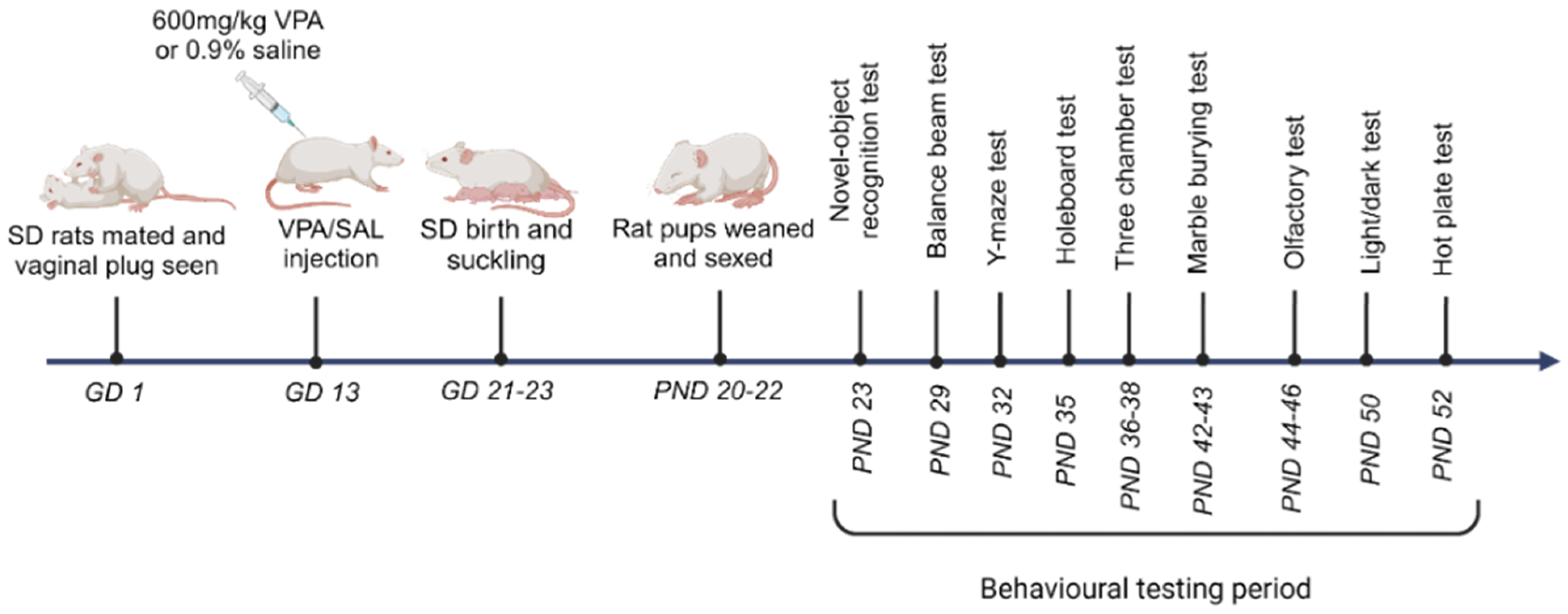 Brainsci 15 00388 g001 Brainsci 15 00388 g001