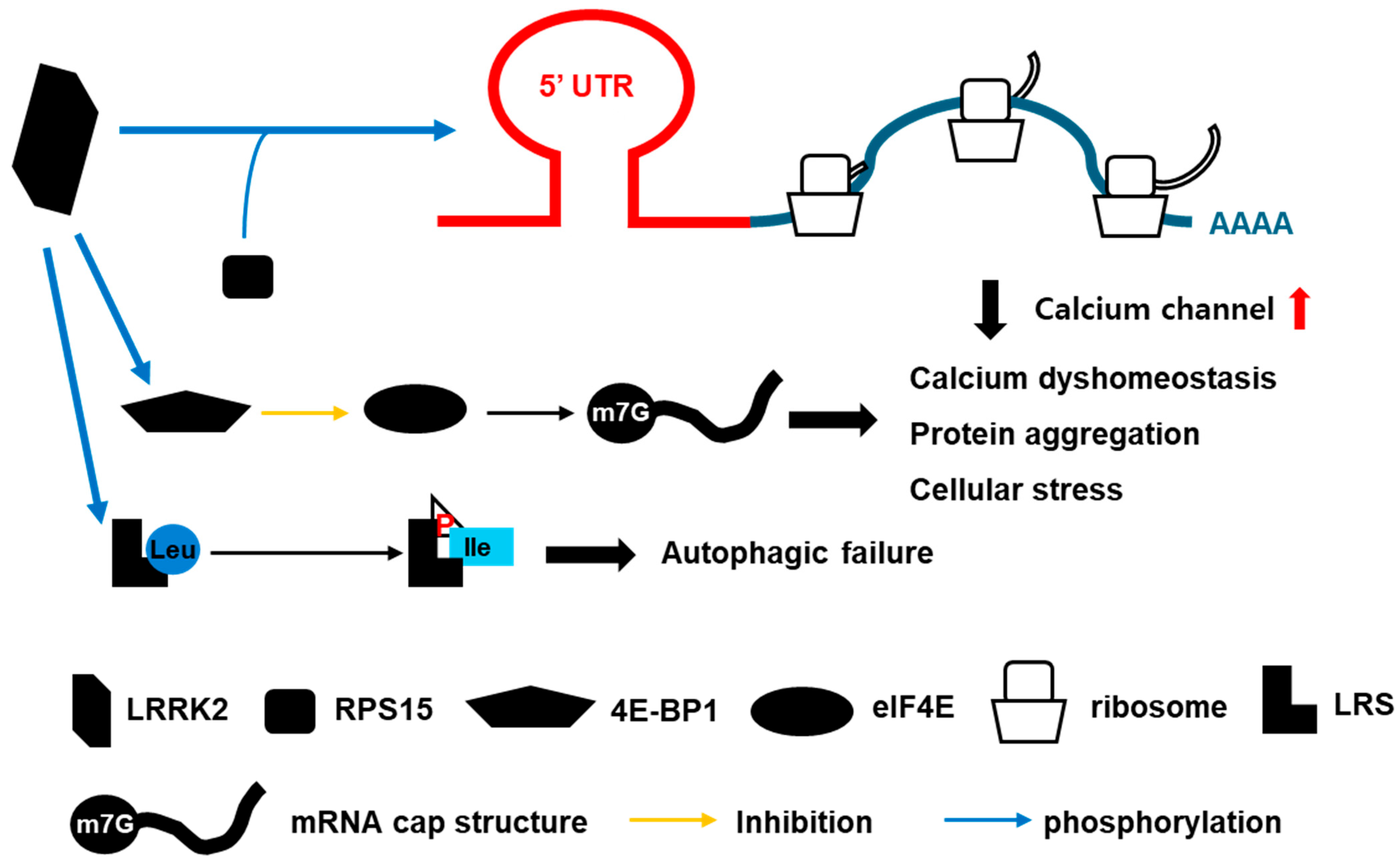 Brainsci 15 00407 g003