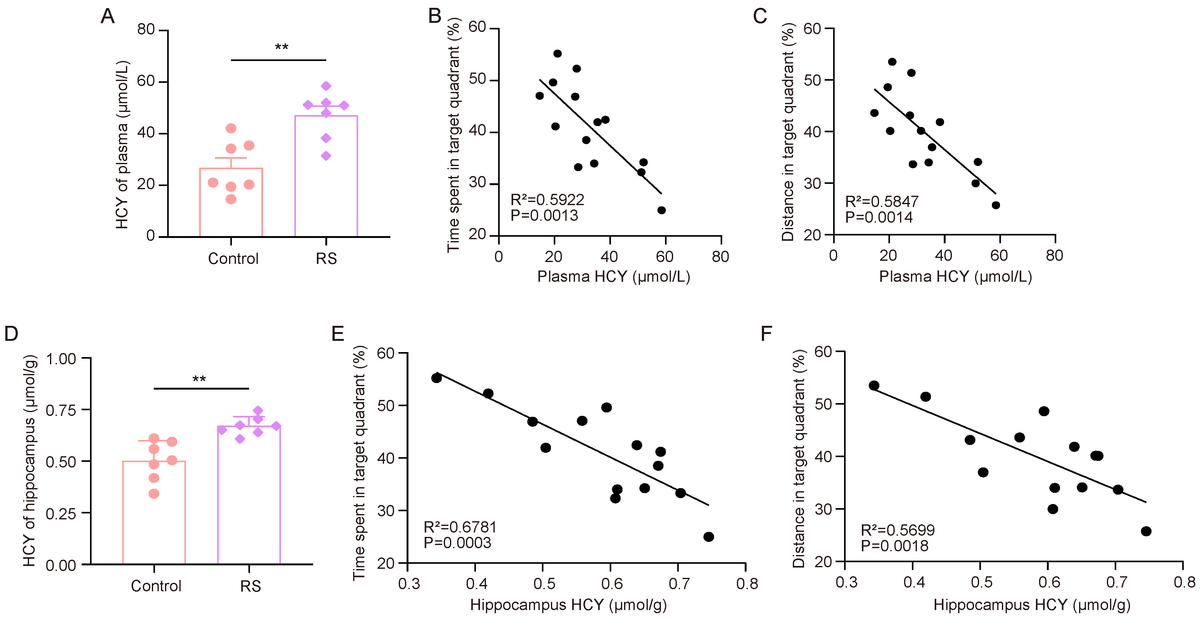 Brainsci 15 00416 g003