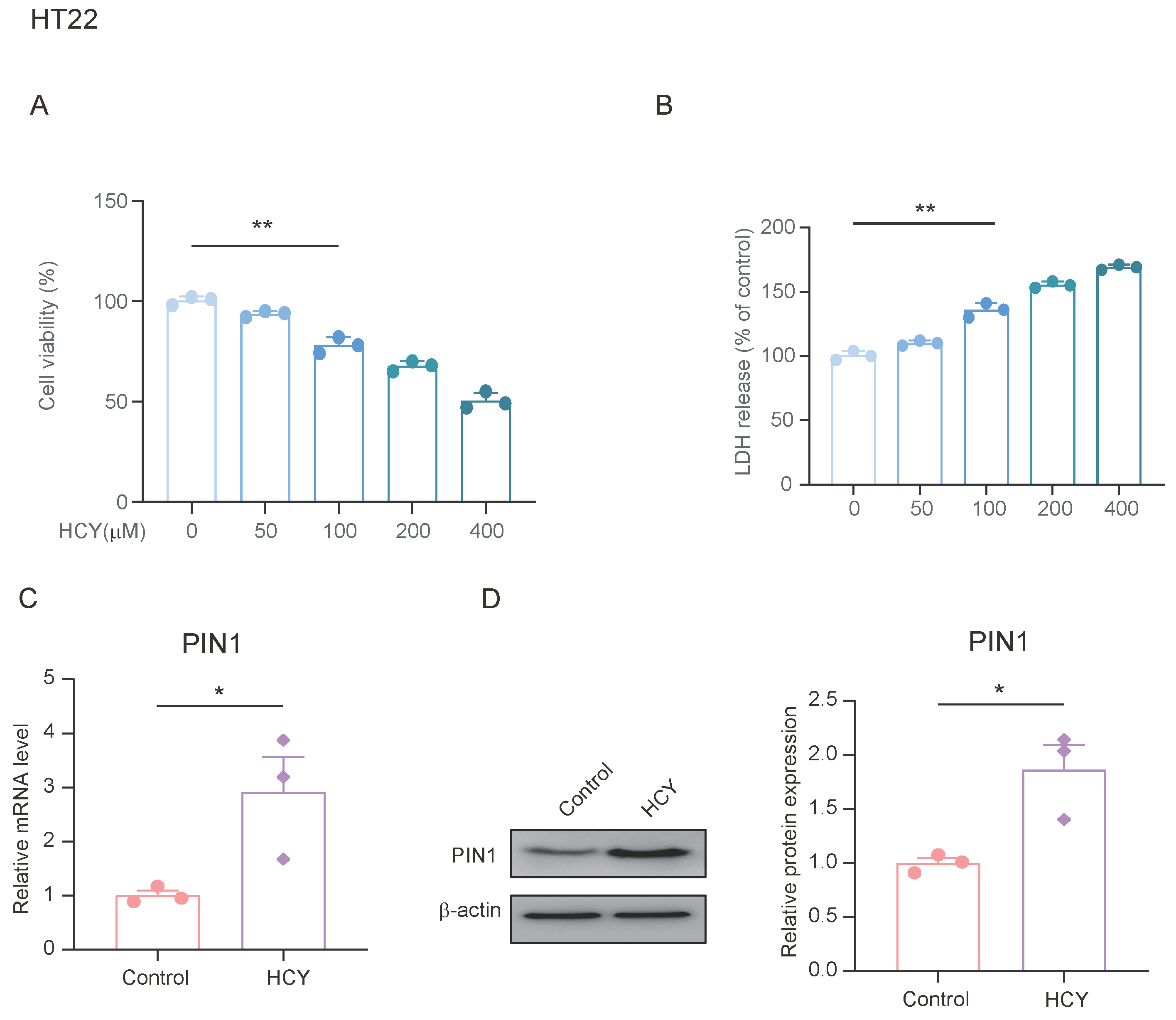 Brainsci 15 00416 g004
